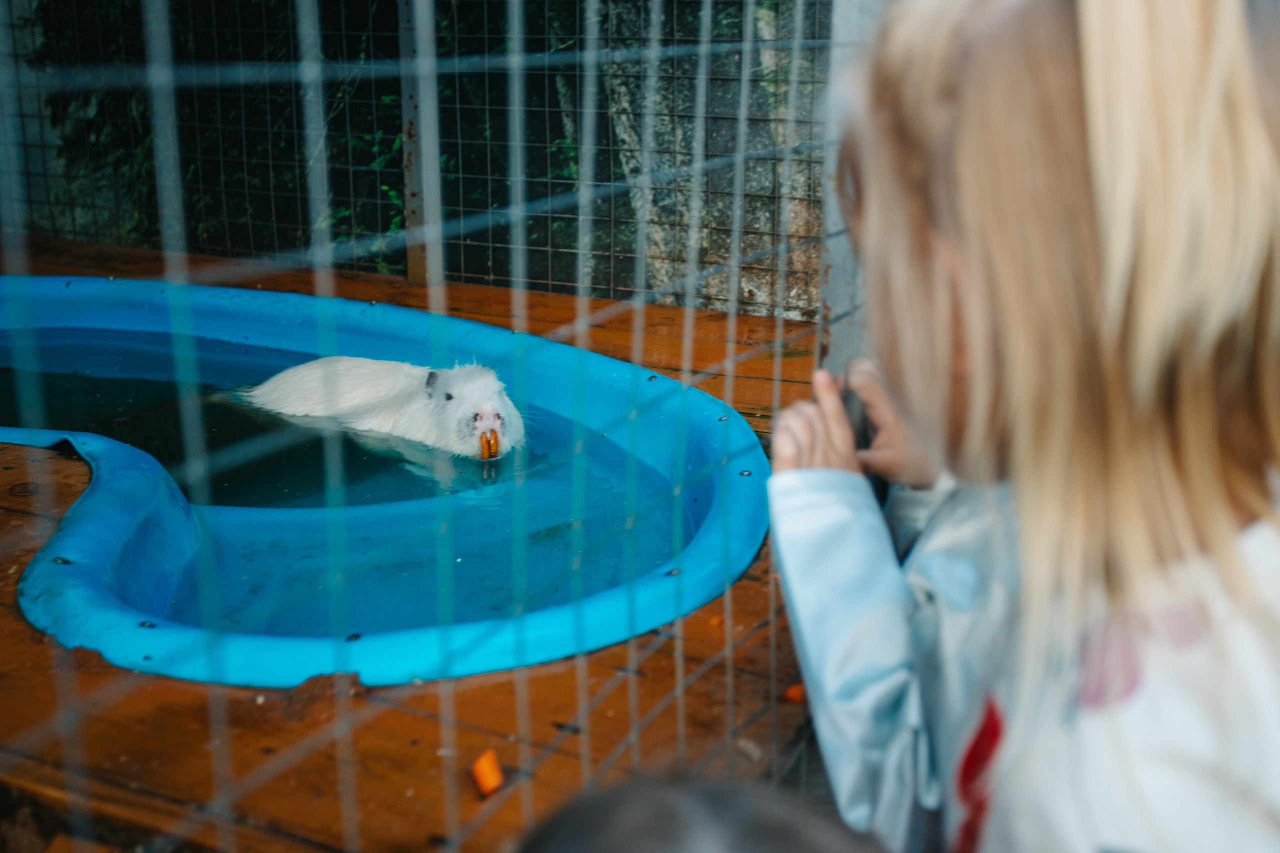 День рождения Марка. Андрей Партнов — фотогрраф, Москва