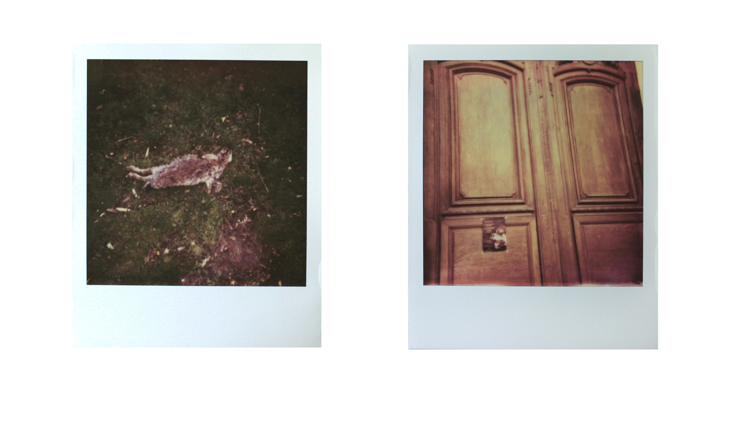 Syntagma. Katya Zimina, film photographer