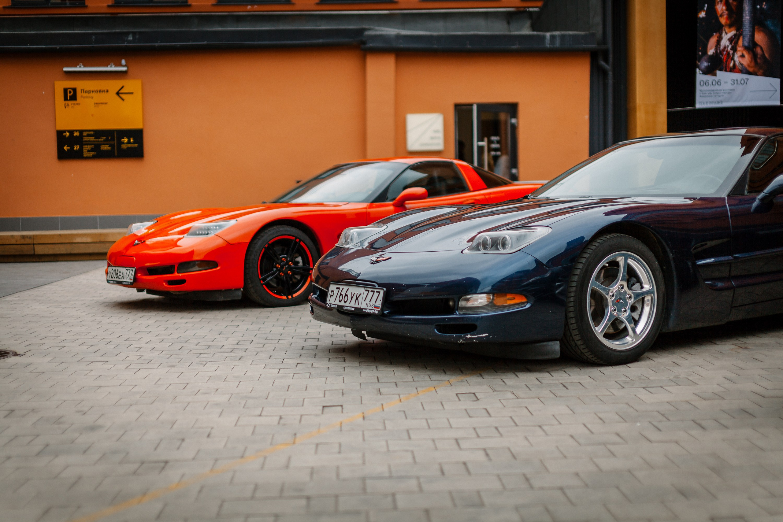 Листва. Алексей Никифоров фотограф Москва, Химки