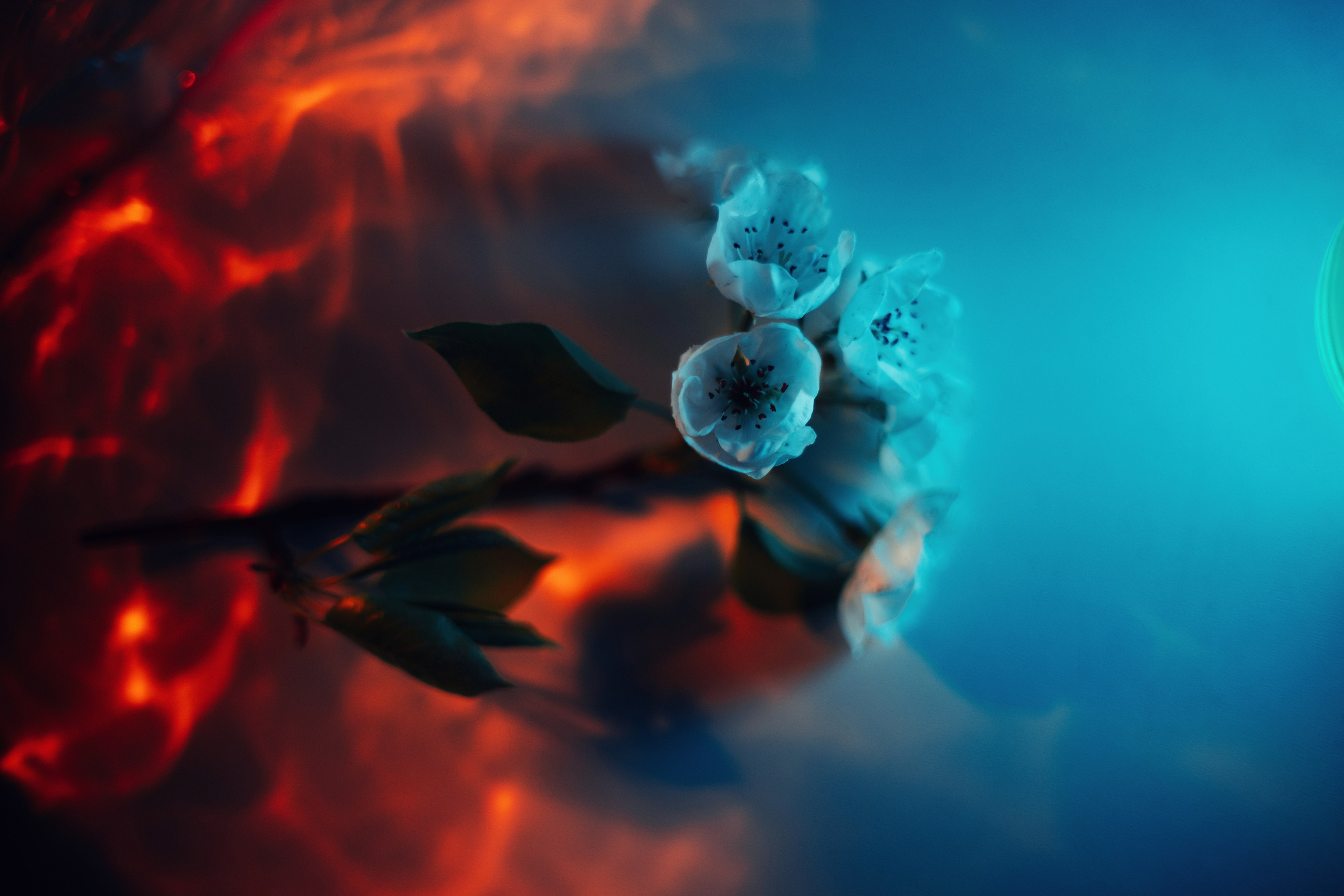 Фотограф в Москве Александр Иванов