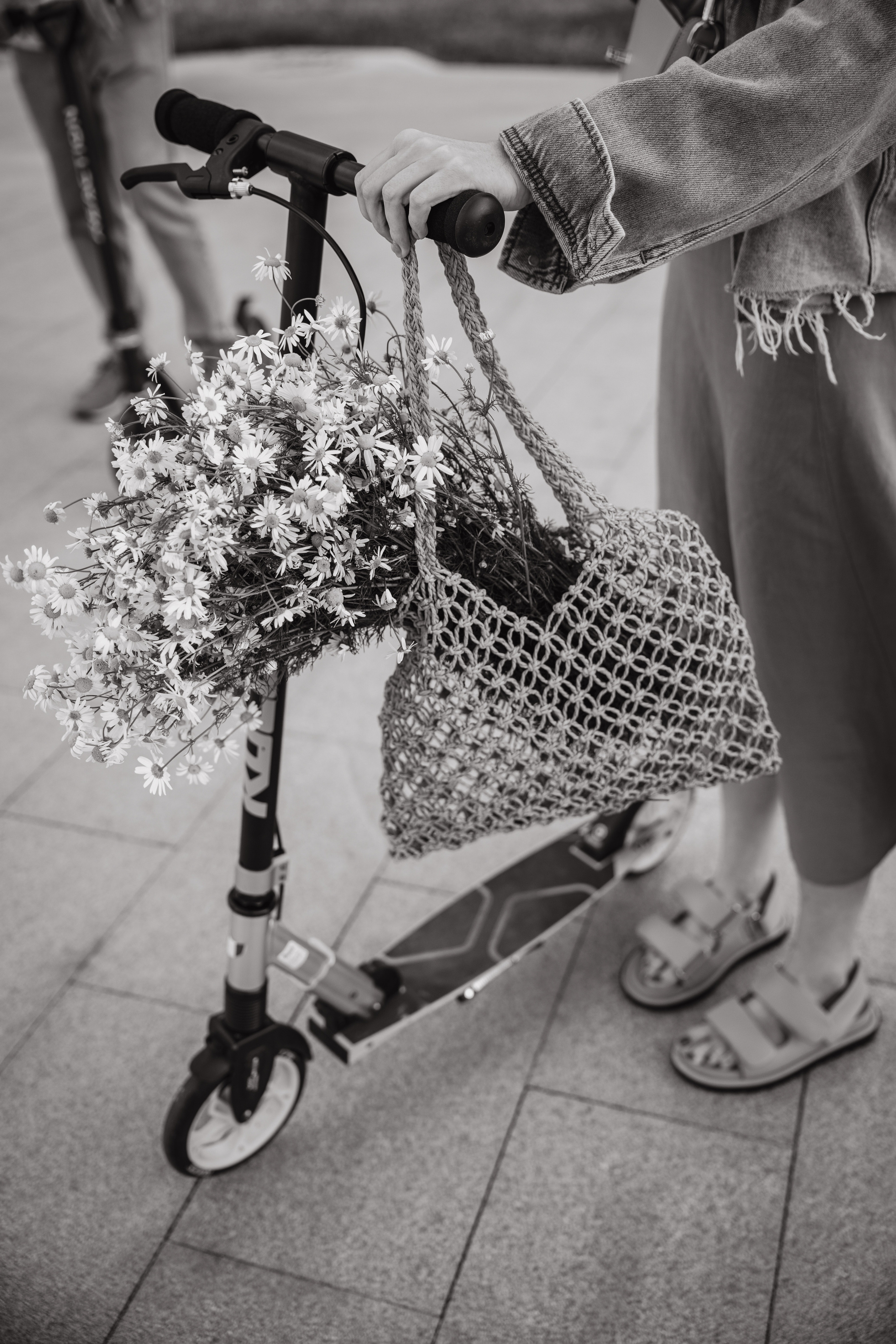 Семейная фотосессия. Портретный и свадебный фотограф в Туле