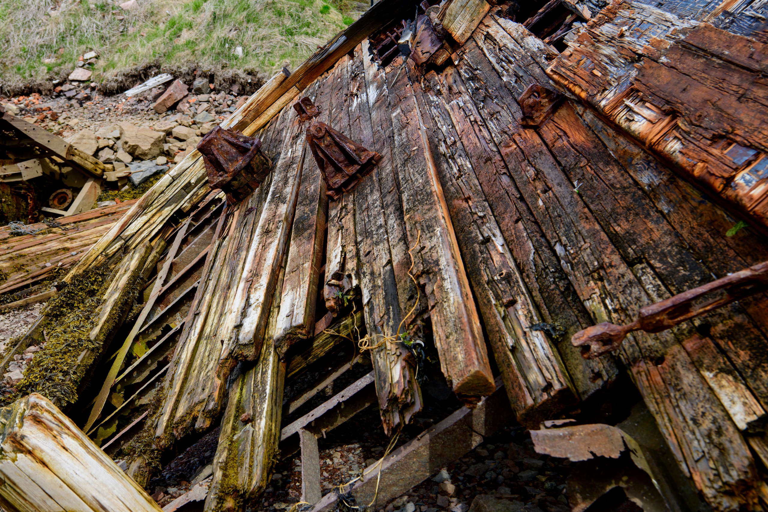 Мурманская область. Июнь 2024. Фотограф Сергей Пупонин