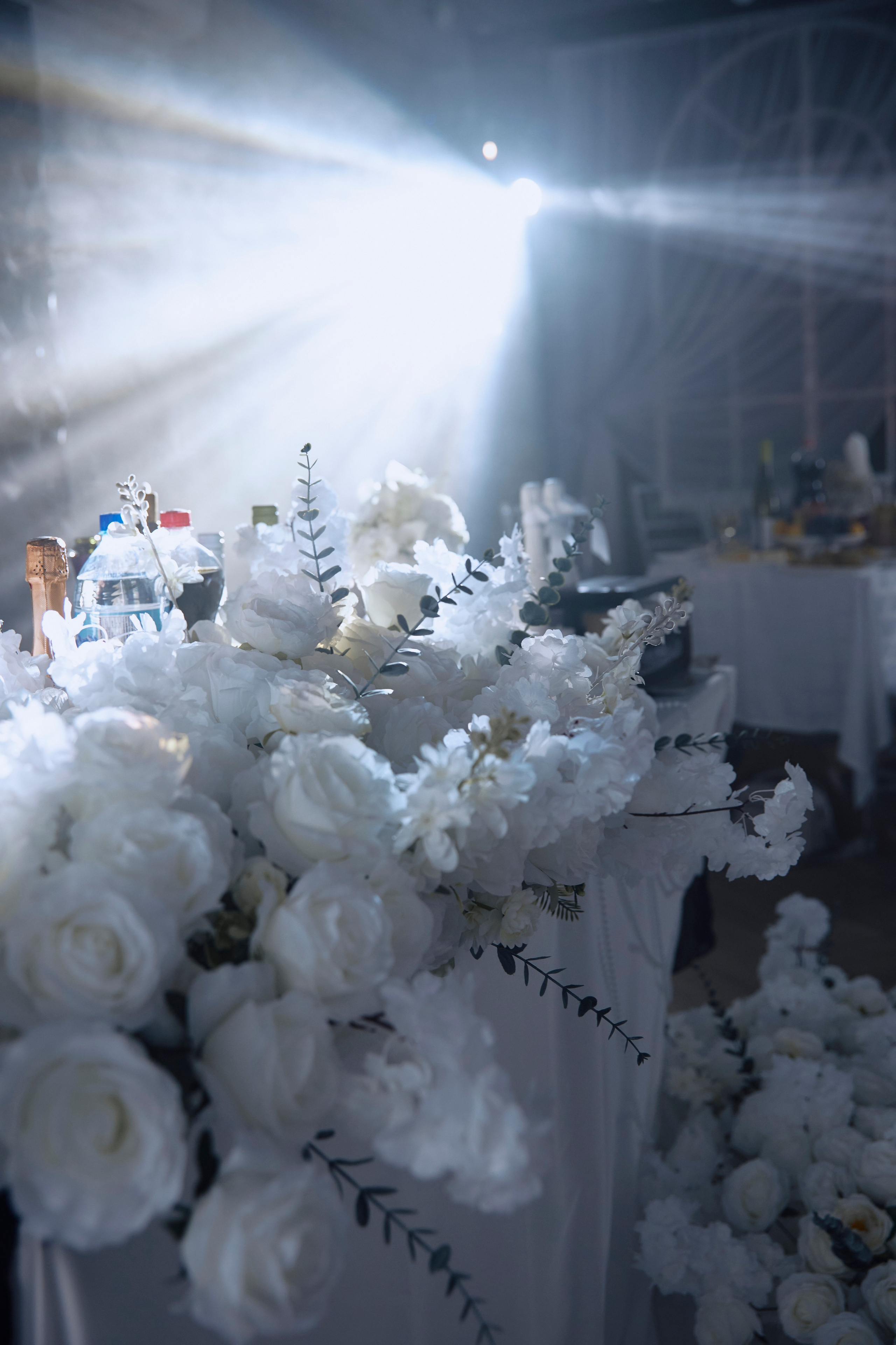 Владислав & Диана. Свадебный и портретный фотограф в Саранске Алексей Миганов