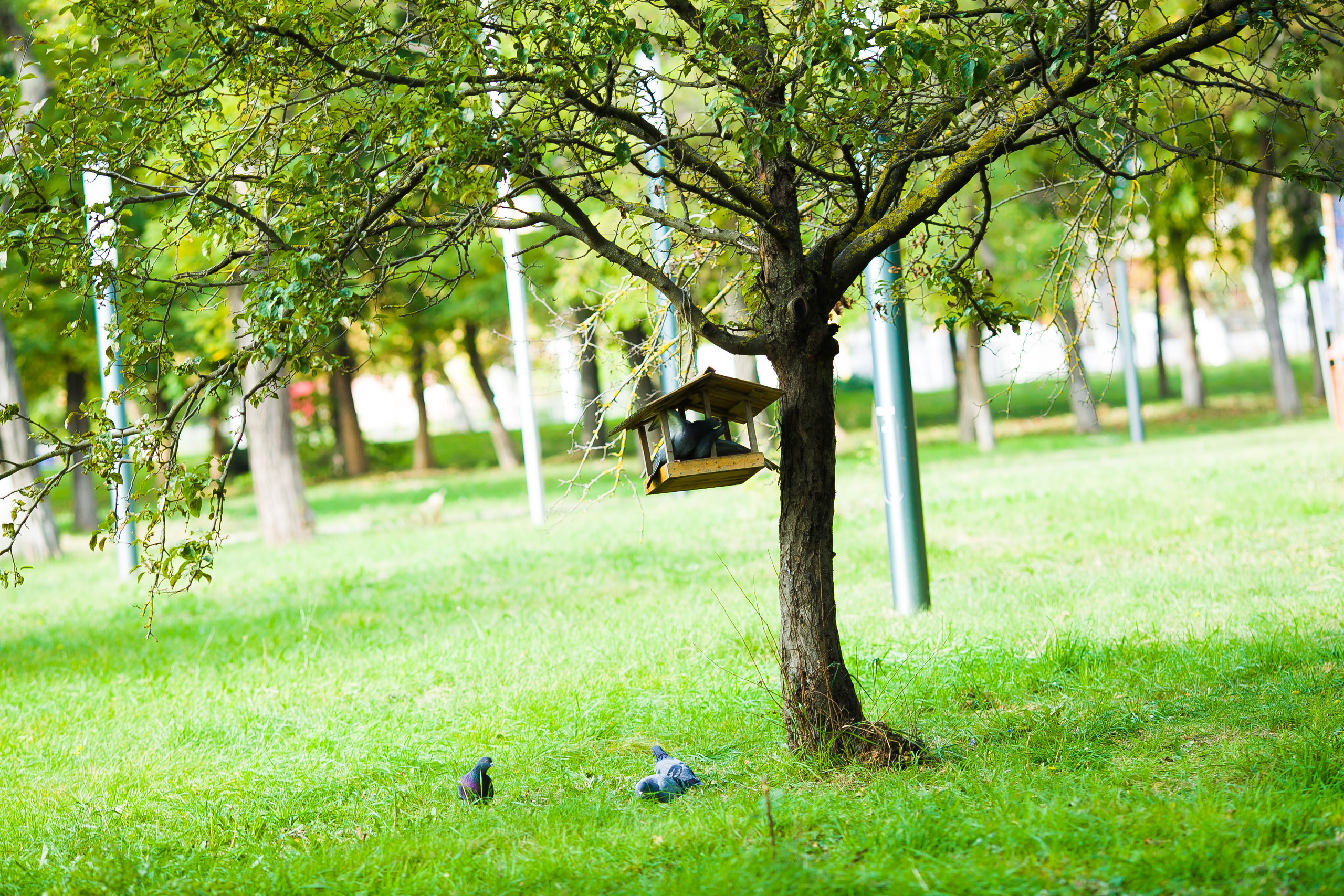 Юлия Василенко. Дизайн интерьера Керчь, дизайнер интерьера Еремина Мария Керчь, Симфер