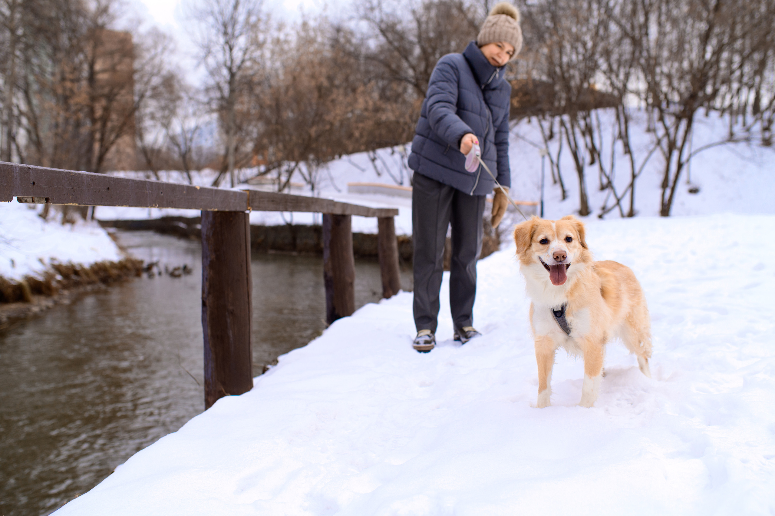 Прогулка с собакой. Семейный фотограф в Москве Ольга Барсукова
