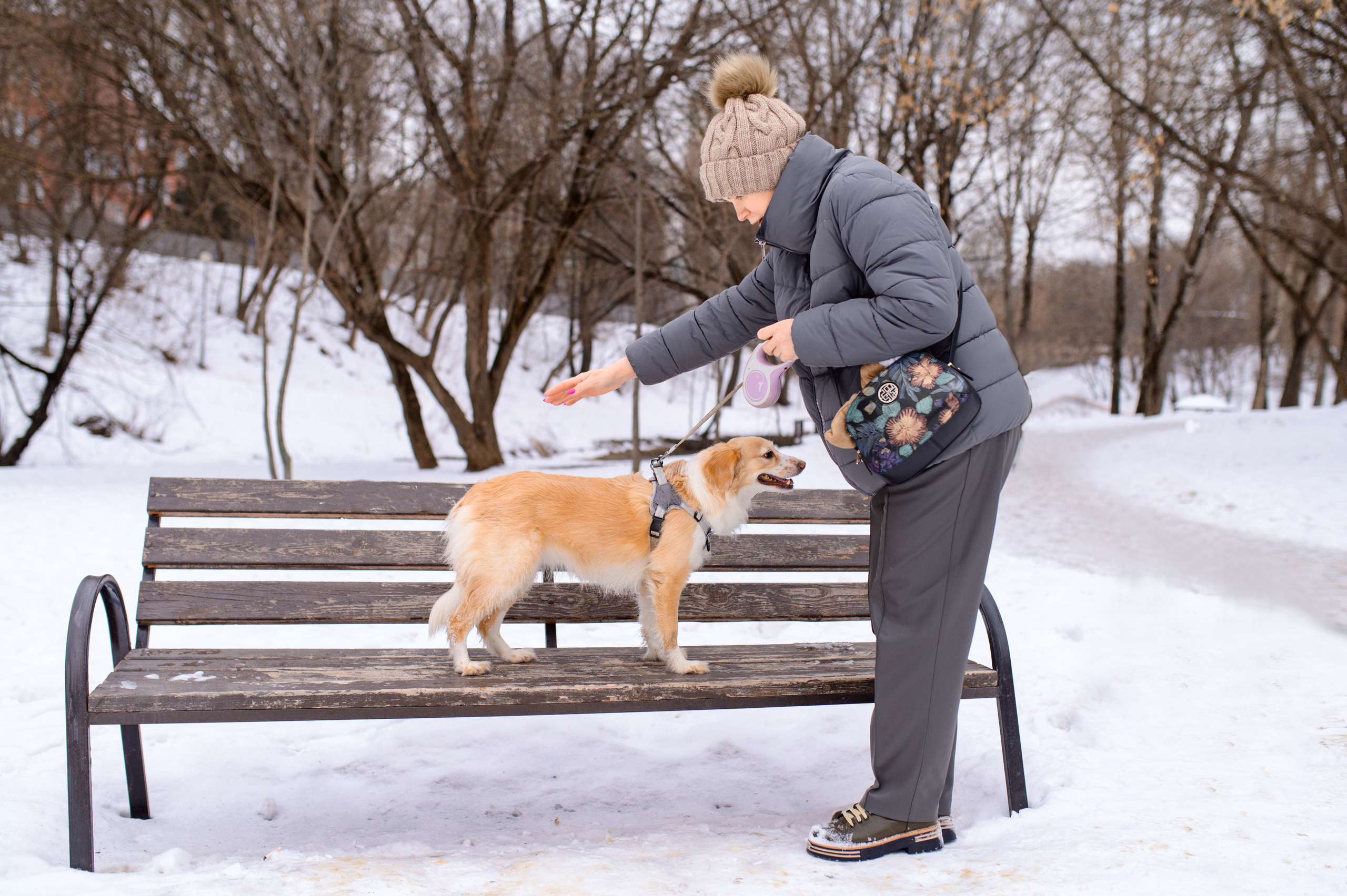 Прогулка с собакой. Семейный фотограф в Москве Ольга Барсукова