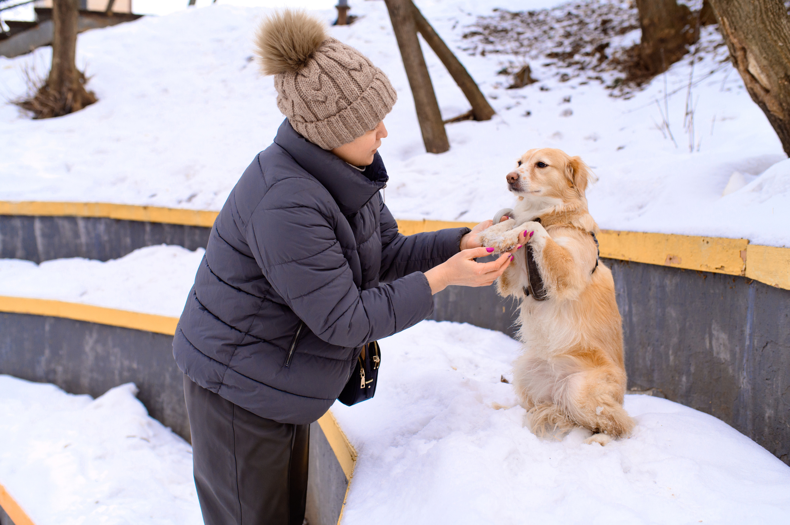 Прогулка с собакой. Семейный фотограф в Москве Ольга Барсукова