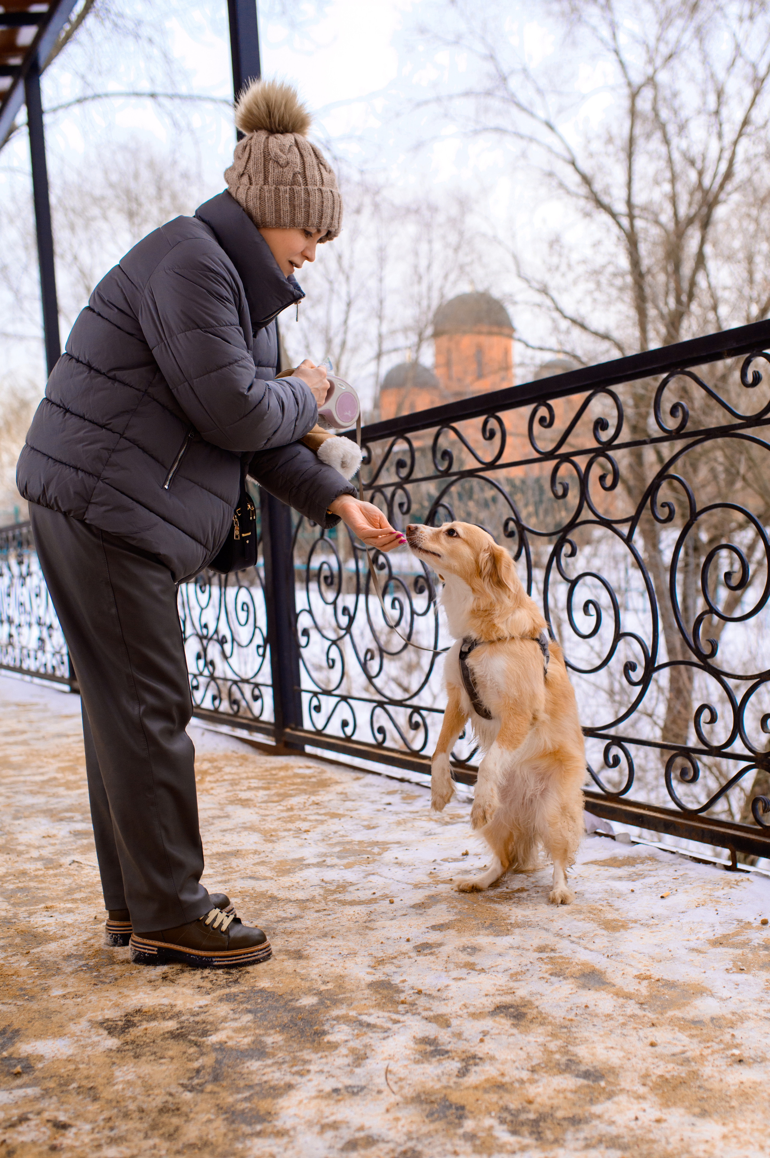 Прогулка с собакой. Семейный фотограф в Москве Ольга Барсукова