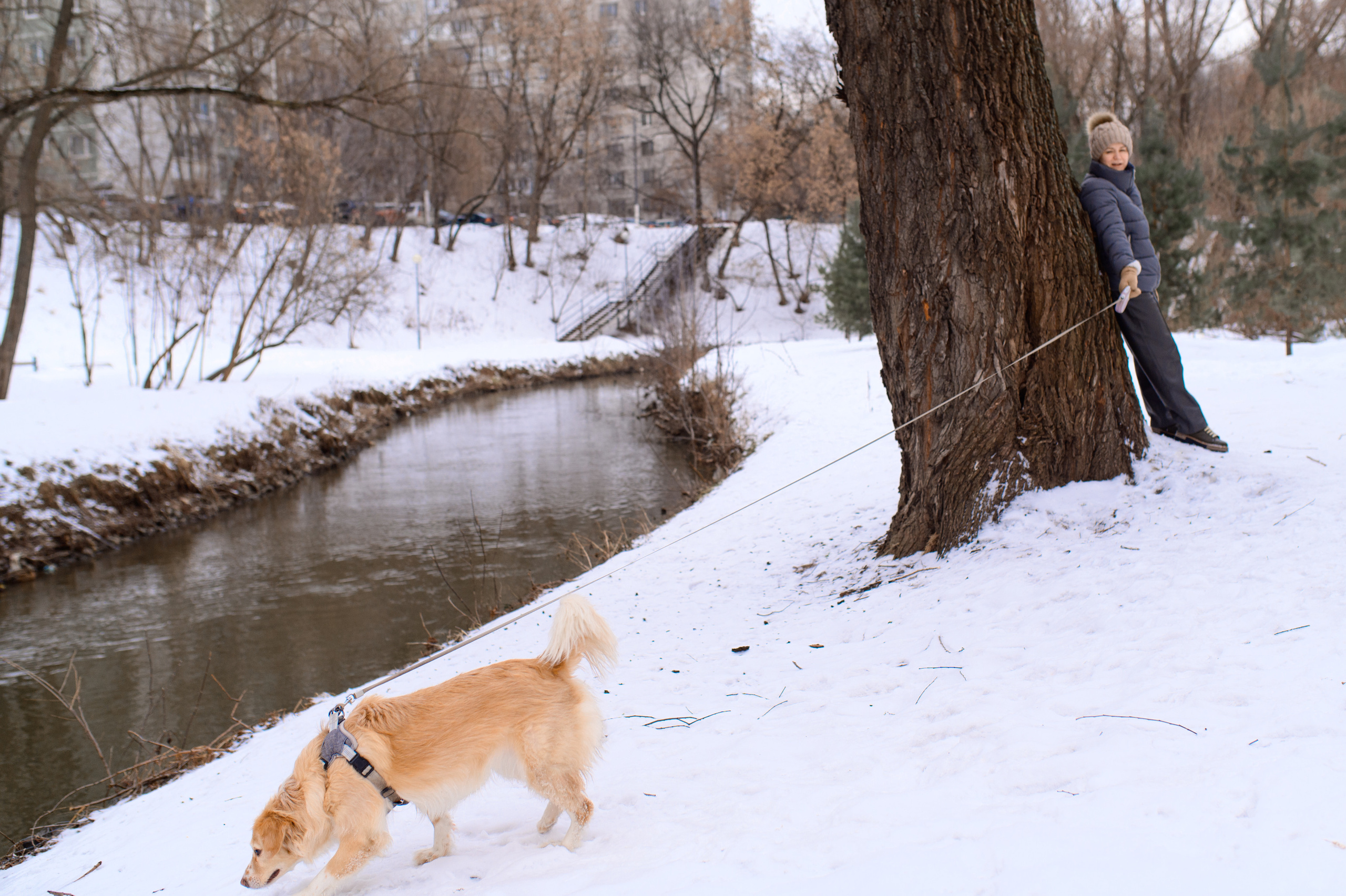 Прогулка с собакой. Семейный фотограф в Москве Ольга Барсукова