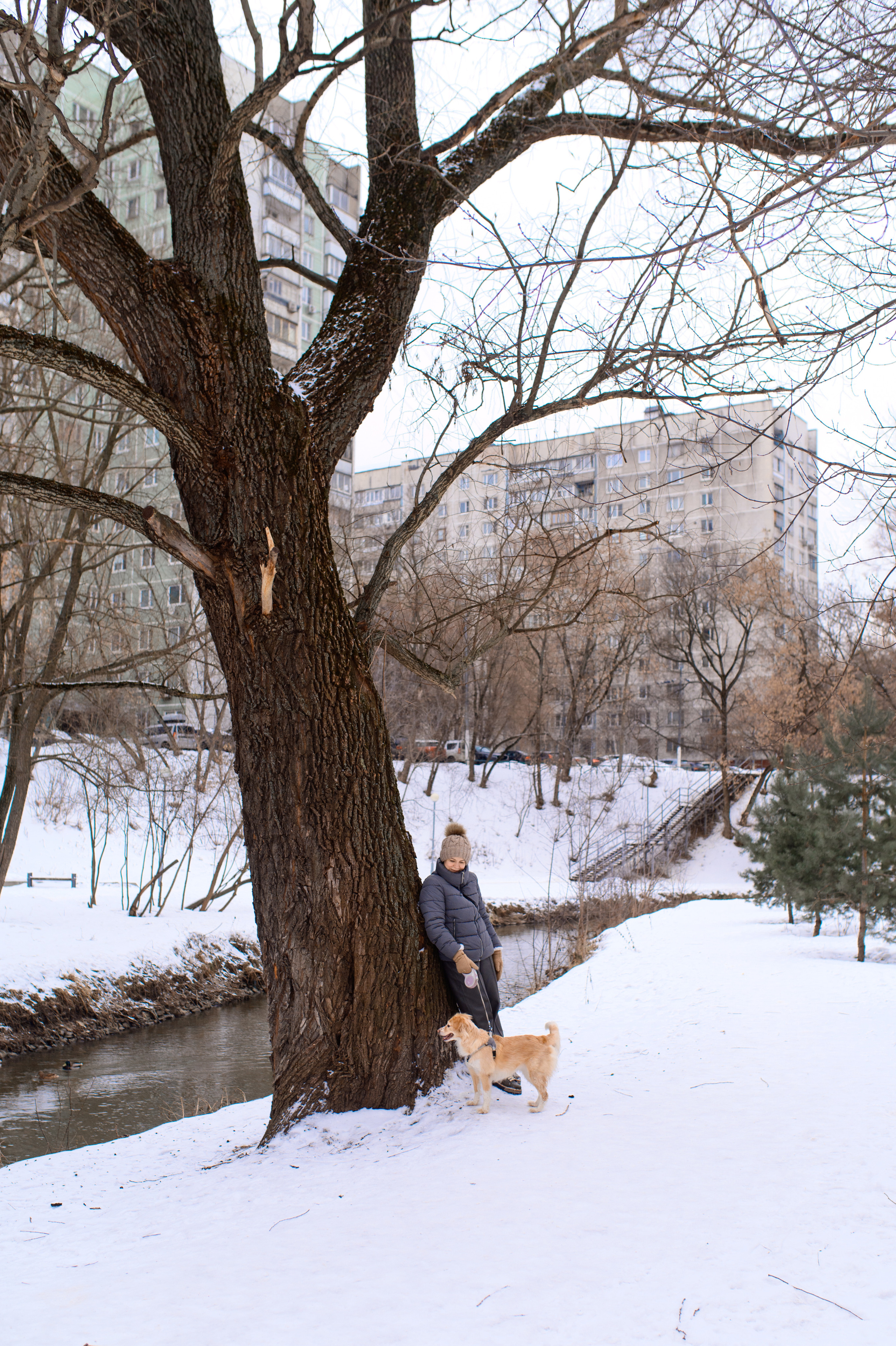Прогулка с собакой. Семейный фотограф в Москве Ольга Барсукова