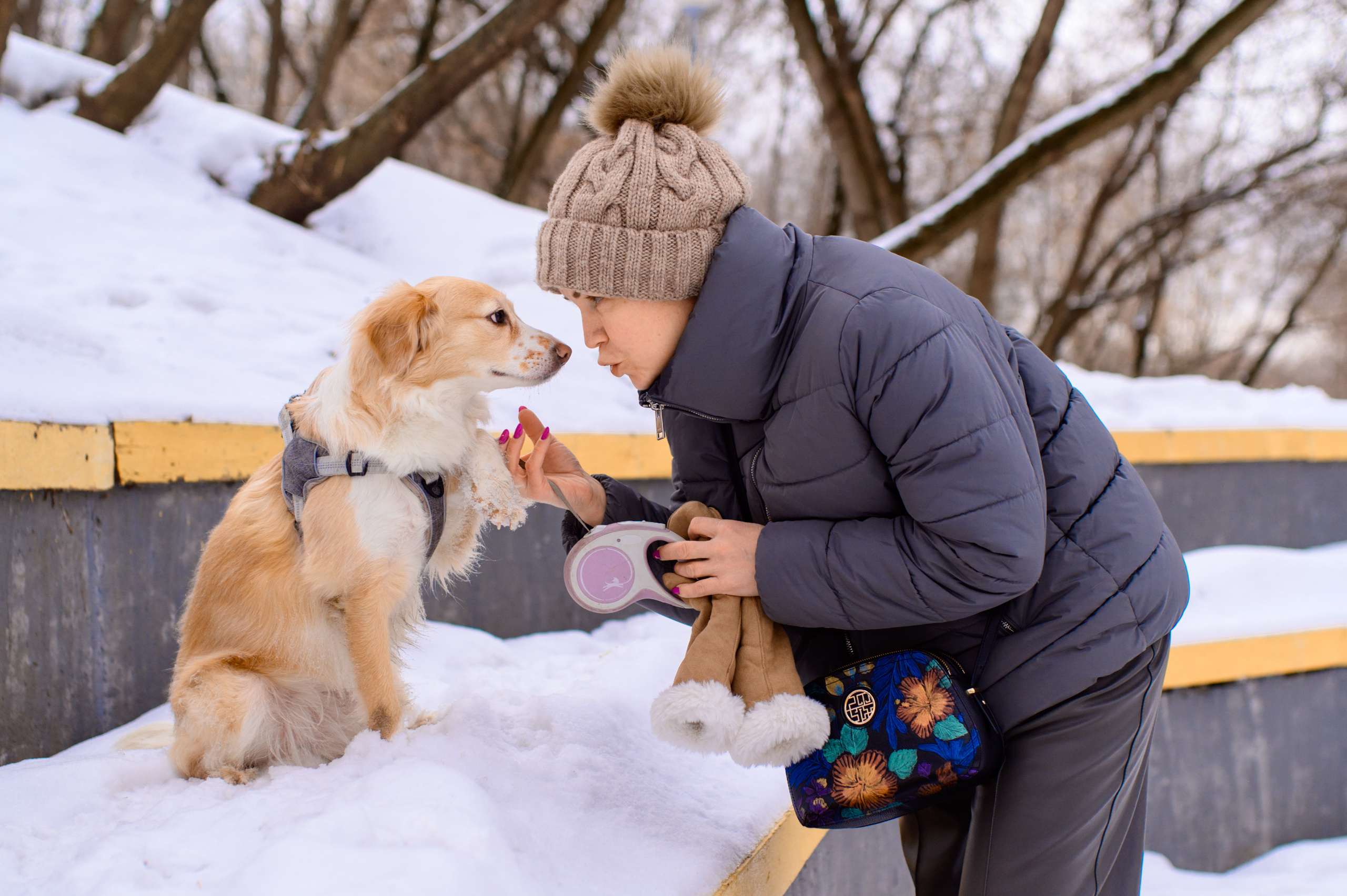 Прогулка с собакой. Семейный фотограф в Москве Ольга Барсукова