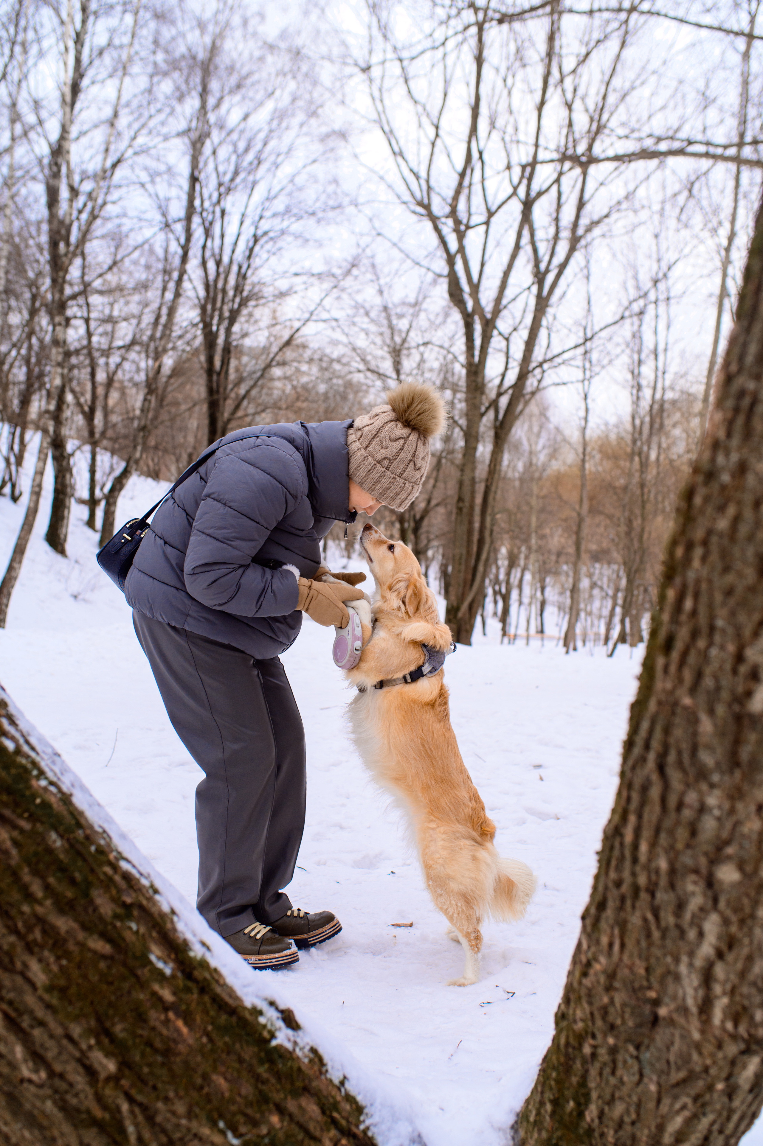 Прогулка с собакой. Семейный фотограф в Москве Ольга Барсукова