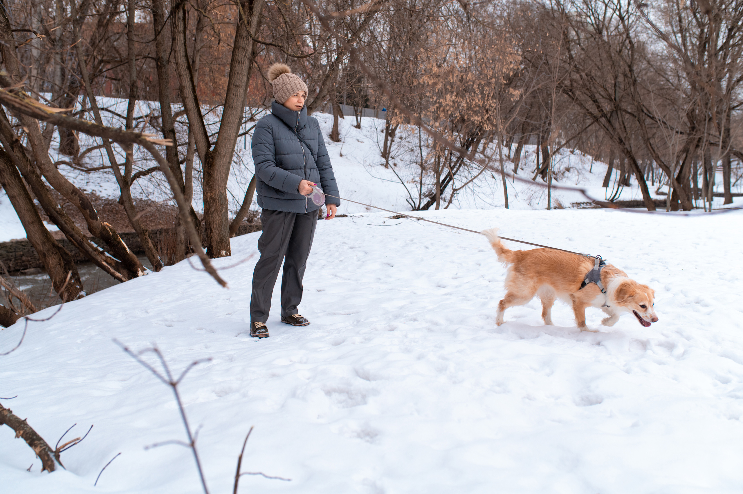 Прогулка с собакой. Семейный фотограф в Москве Ольга Барсукова