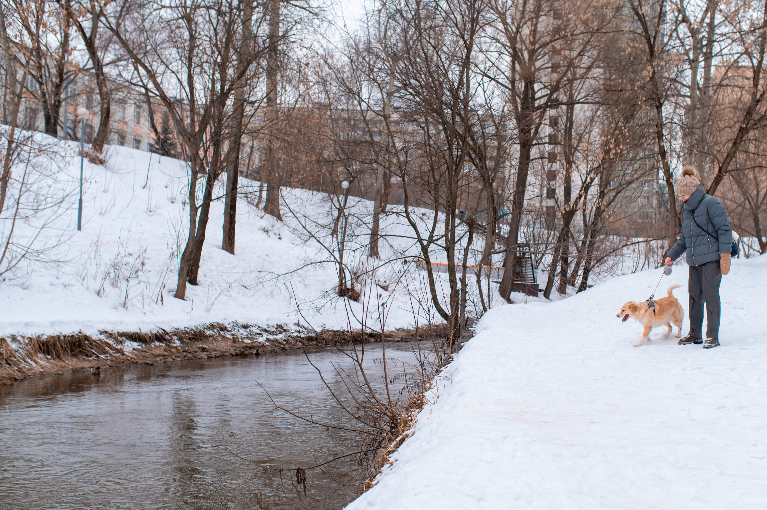 Прогулка с собакой. Семейный фотограф в Москве Ольга Барсукова