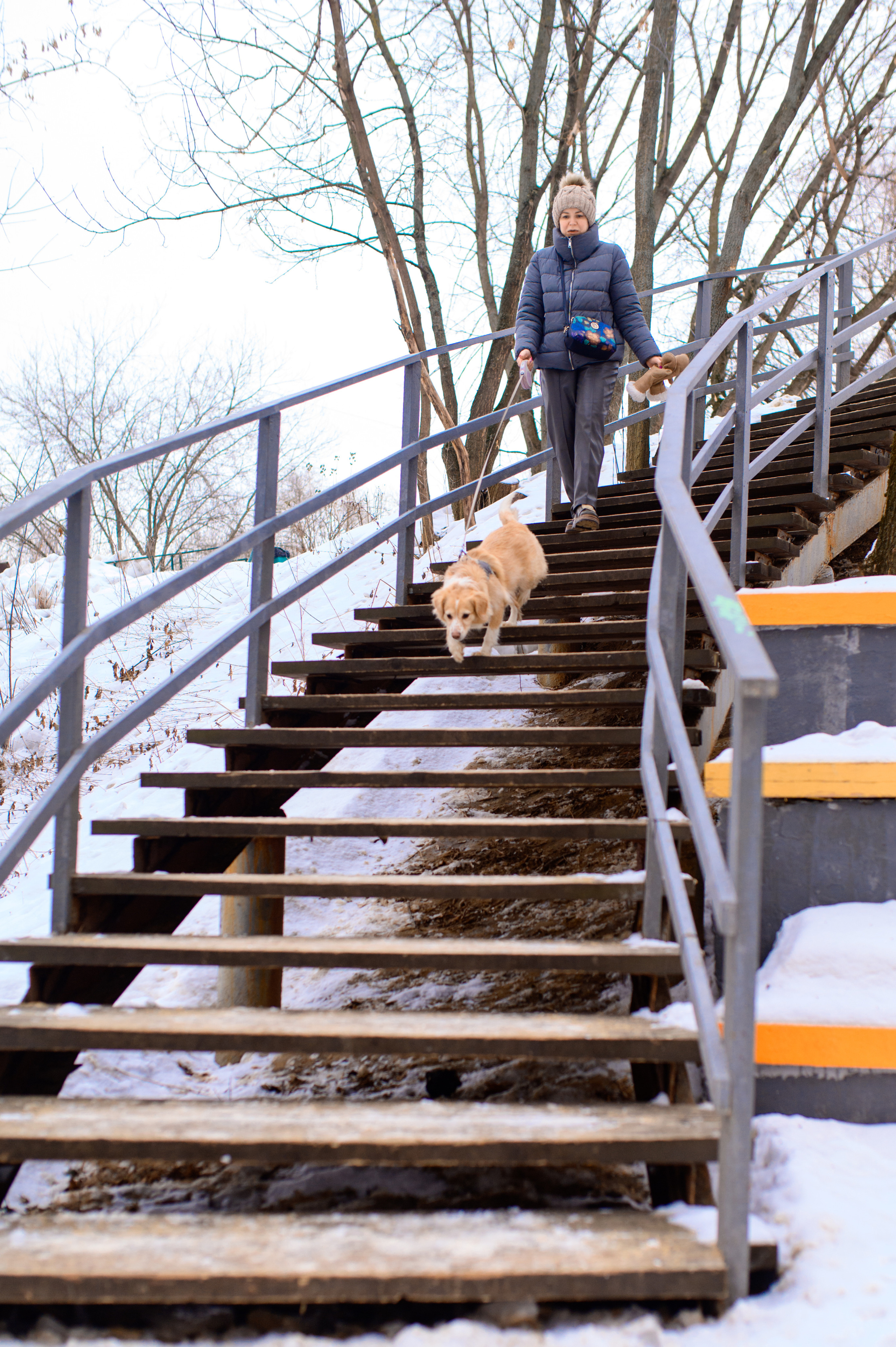 Прогулка с собакой. Семейный фотограф в Москве Ольга Барсукова