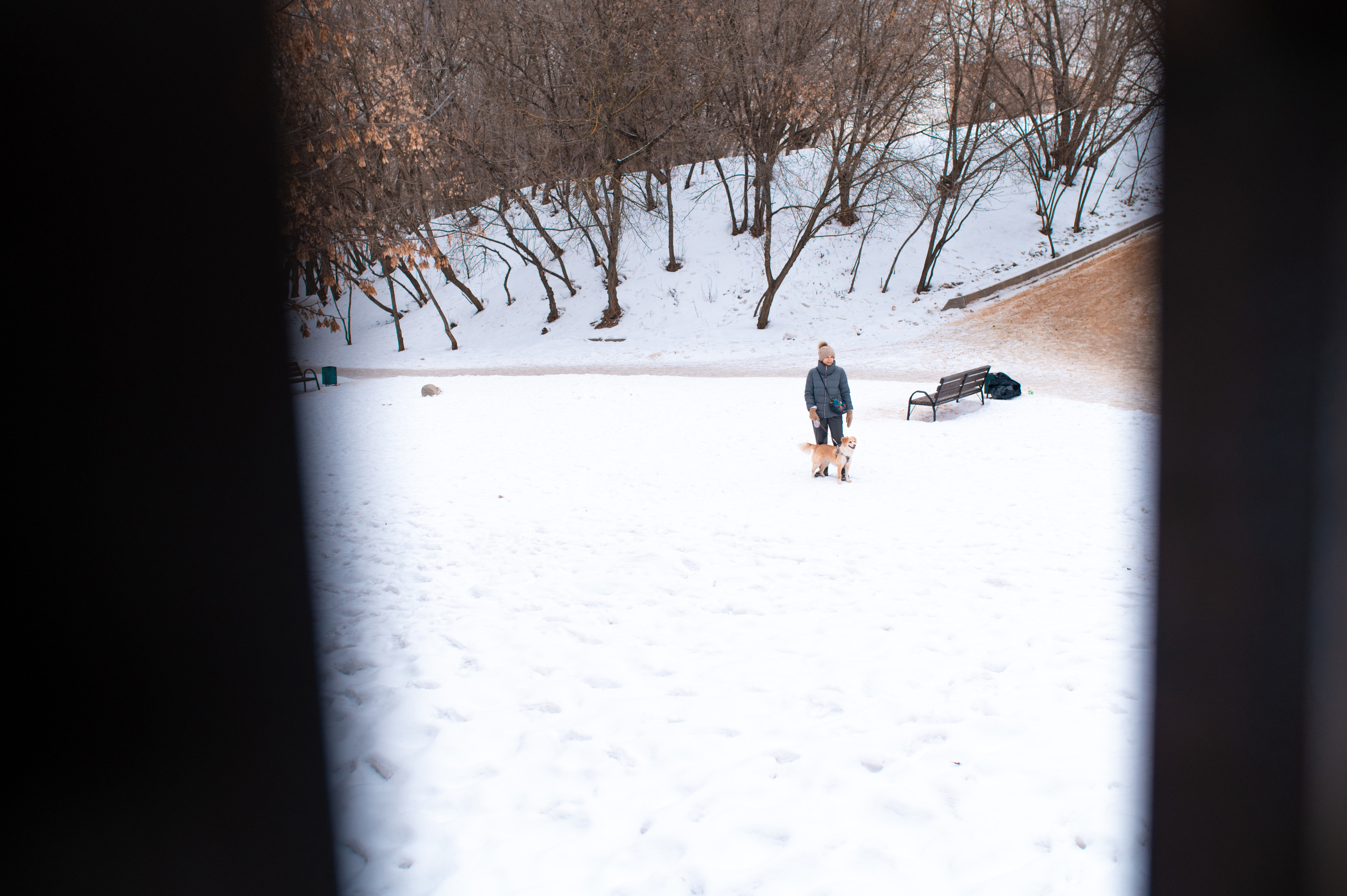 Прогулка с собакой. Семейный фотограф в Москве Ольга Барсукова