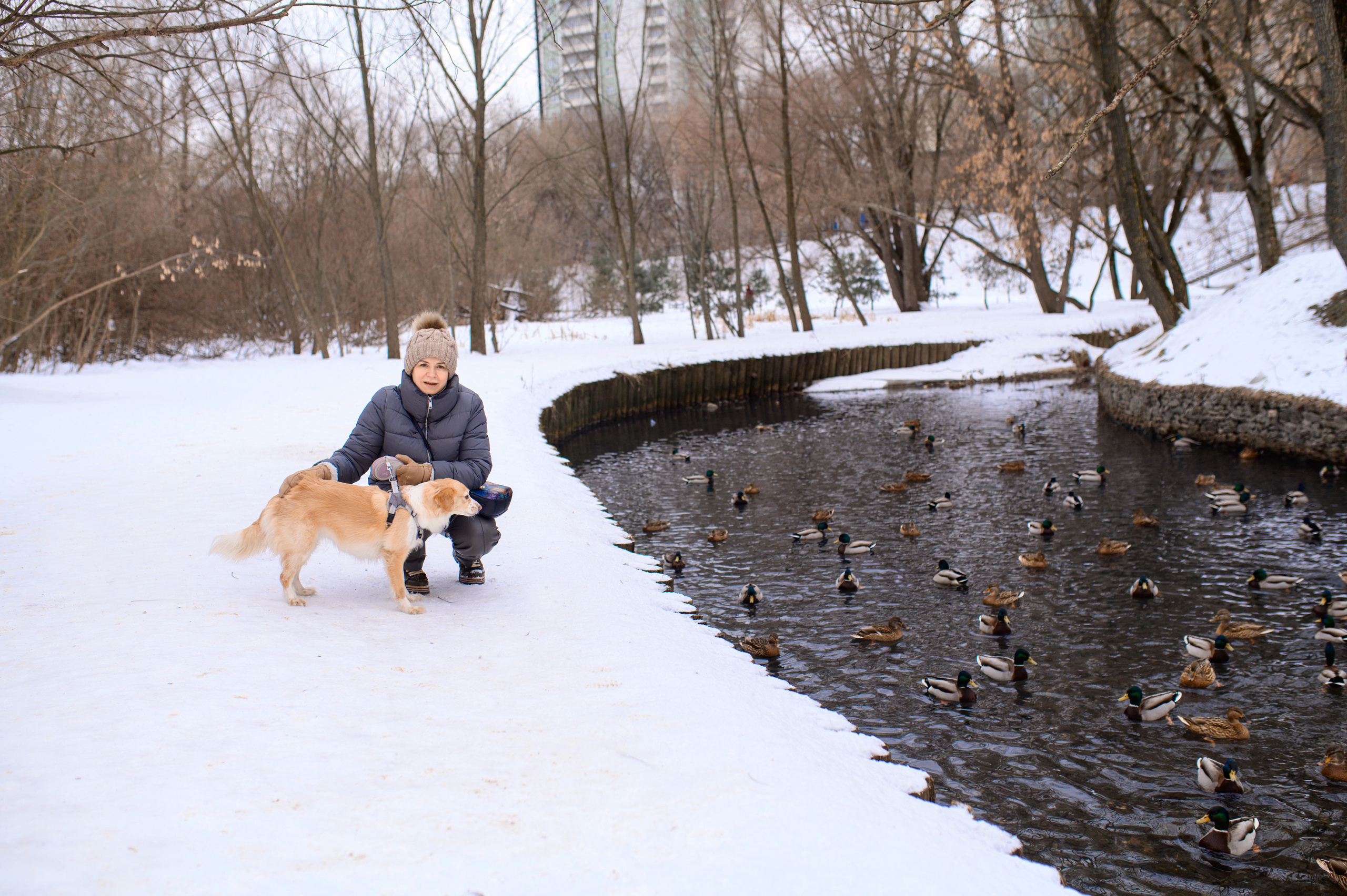 Прогулка с собакой. Семейный фотограф в Москве Ольга Барсукова
