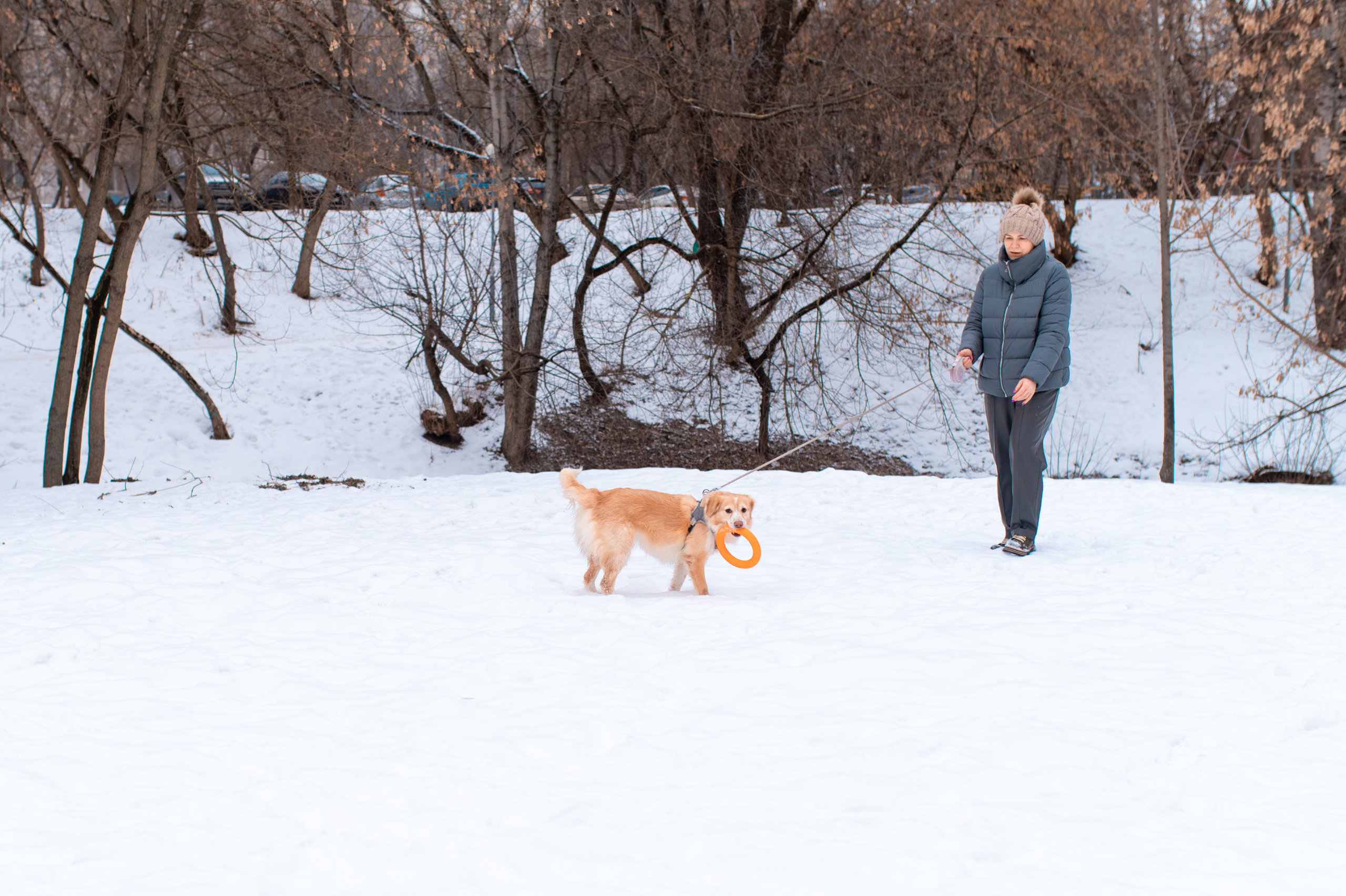 Прогулка с собакой. Семейный фотограф в Москве Ольга Барсукова