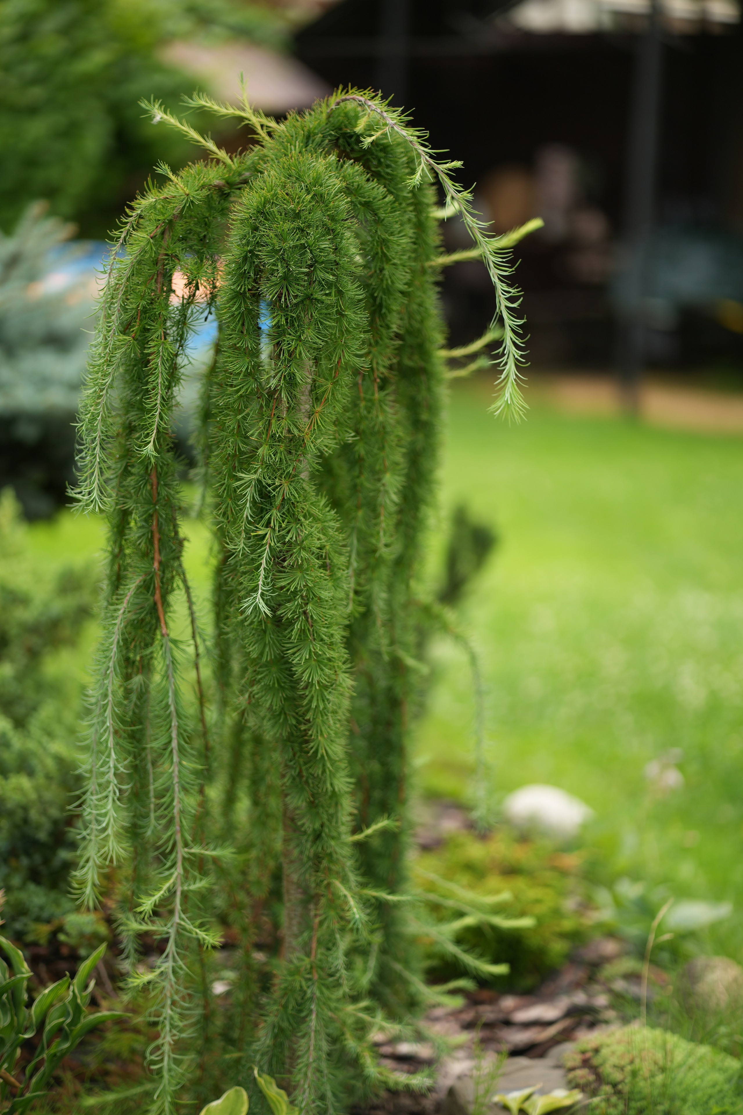 Час 1500 пример фотосессии пакет «ФОТО НА ПАМЯТЬ» (без обработки). Фотограф Нижний Новгород Татьяна Кэйод