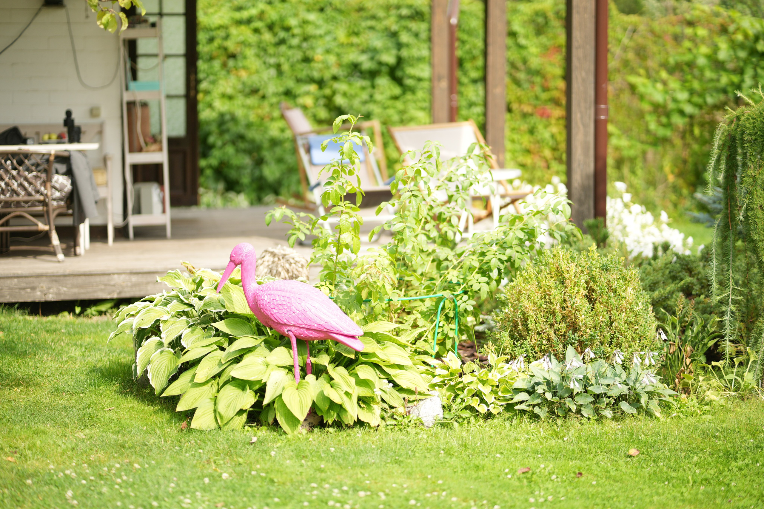 Час 1500 пример фотосессии пакет «ФОТО НА ПАМЯТЬ» (без обработки). Фотограф Нижний Новгород Татьяна Кэйод