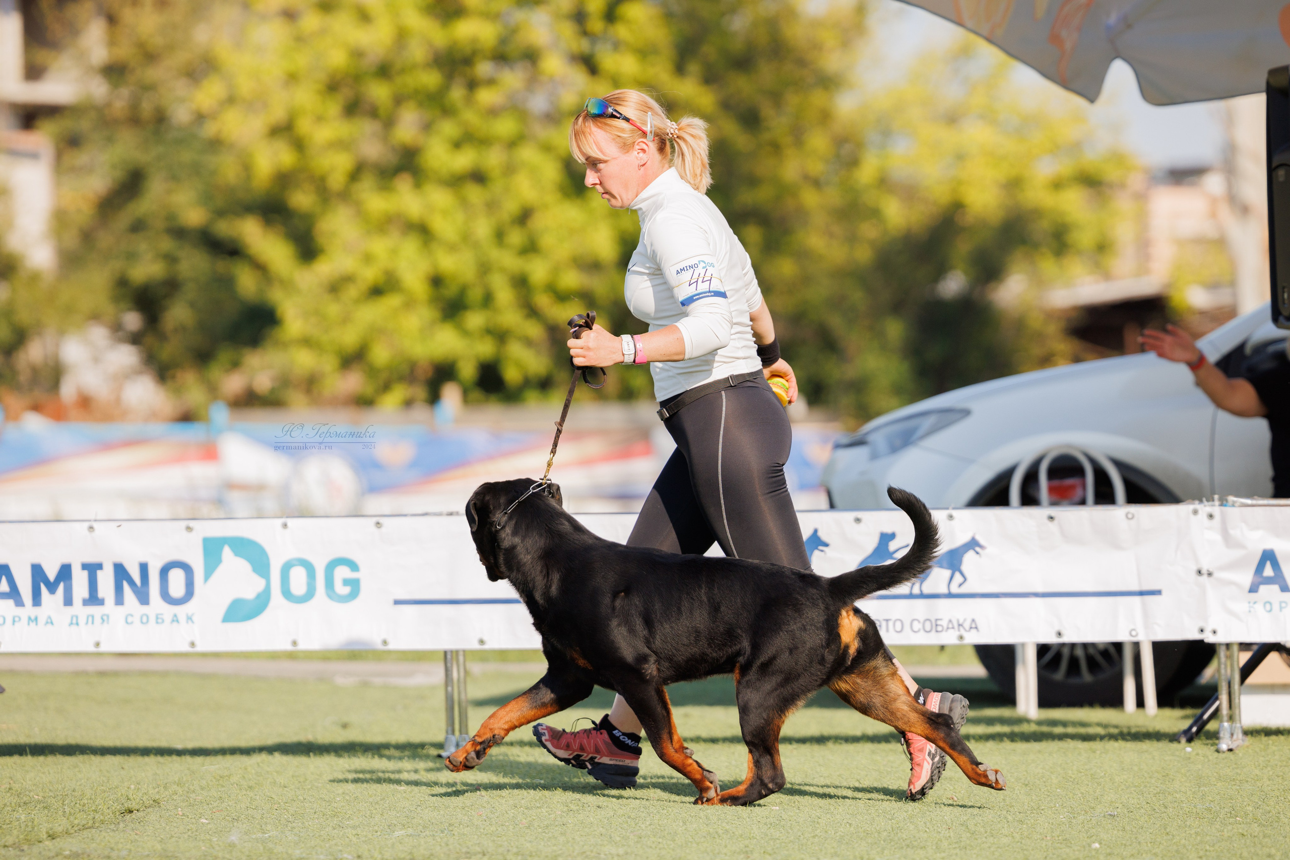 Анапа ротвейлеры 14-15.09.2024. Фотограф-анималист Юлия Германика