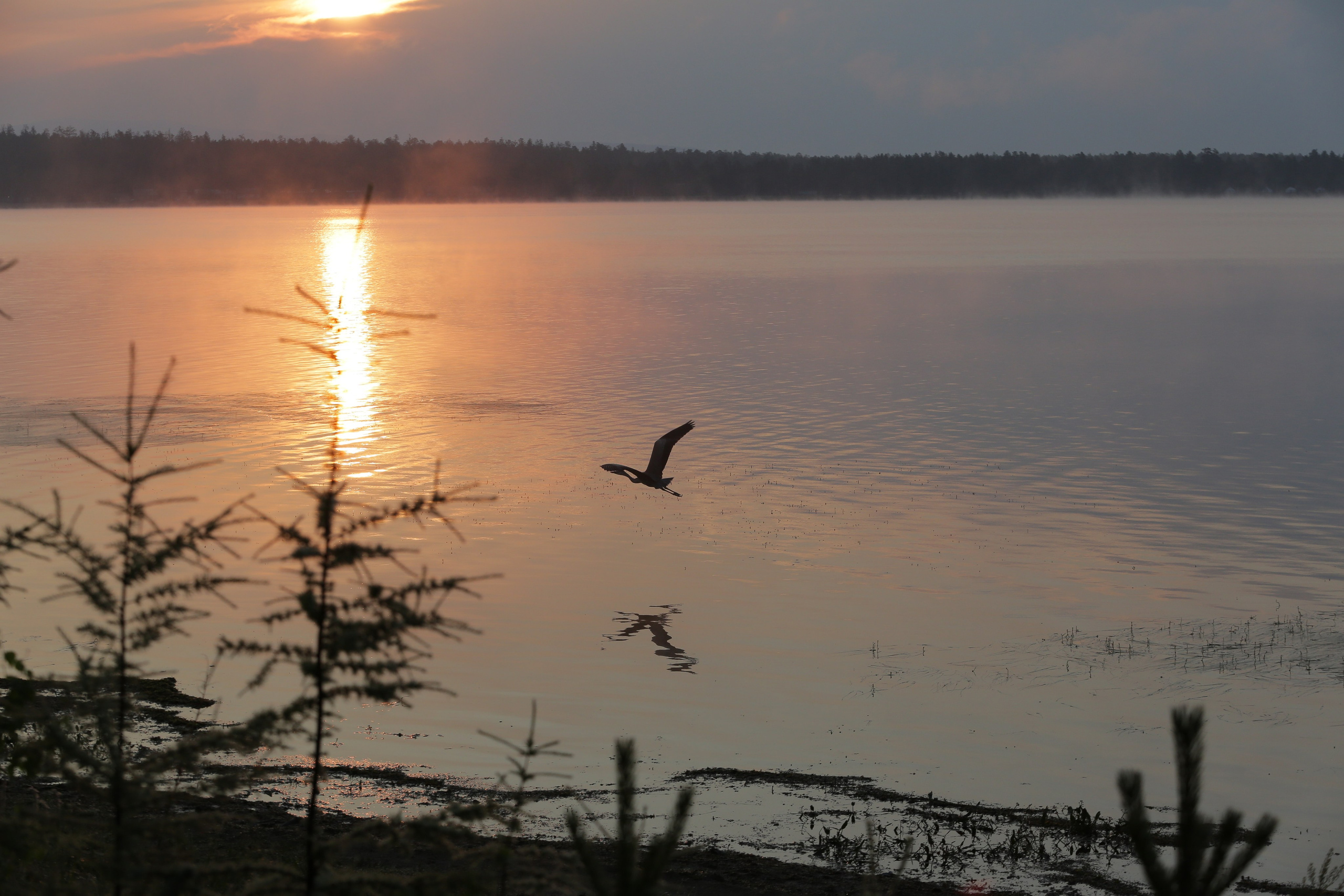 Фото Природы Забайкалья. Студия Максима Белослюдцева