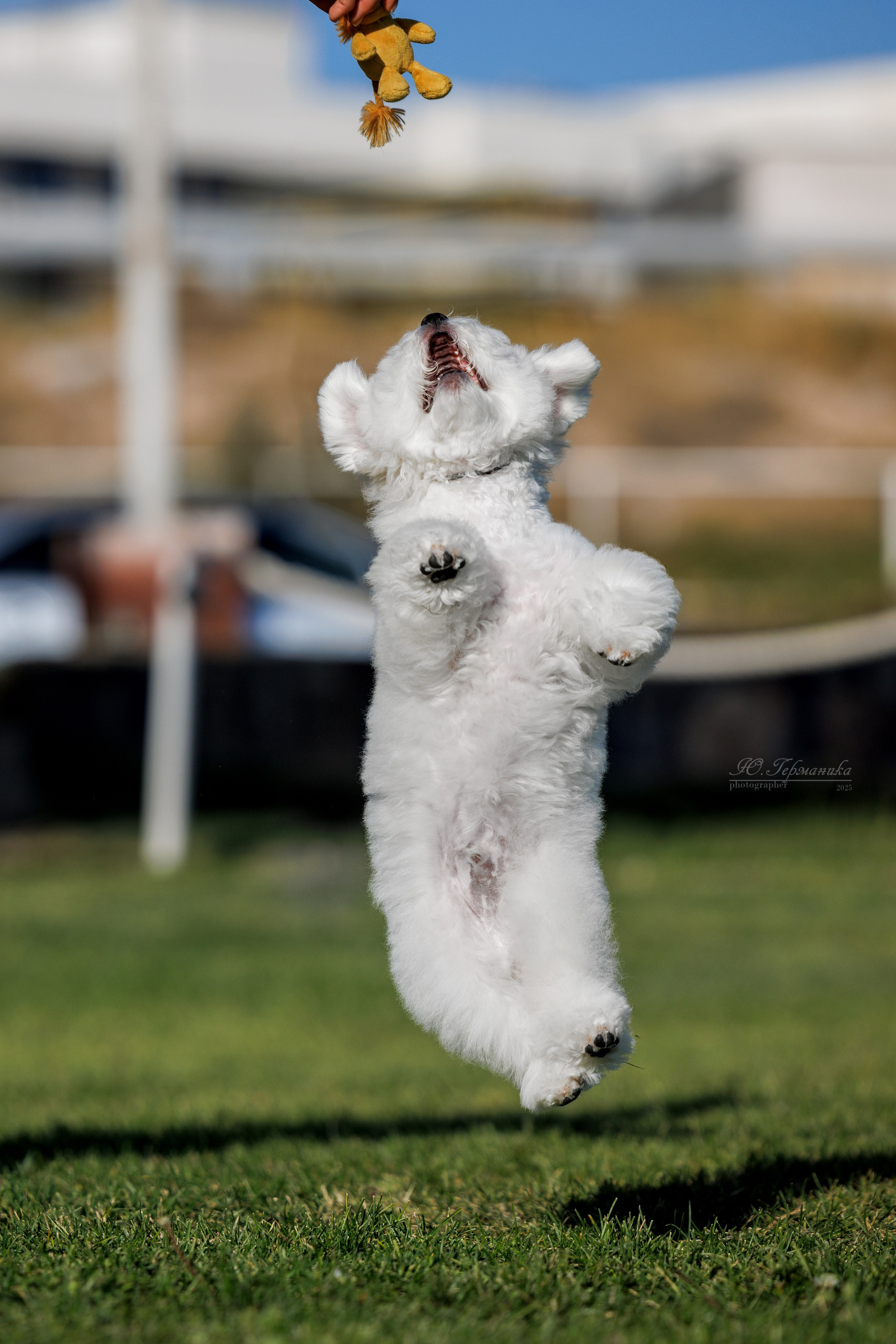 Ереван 14-16.10.2025