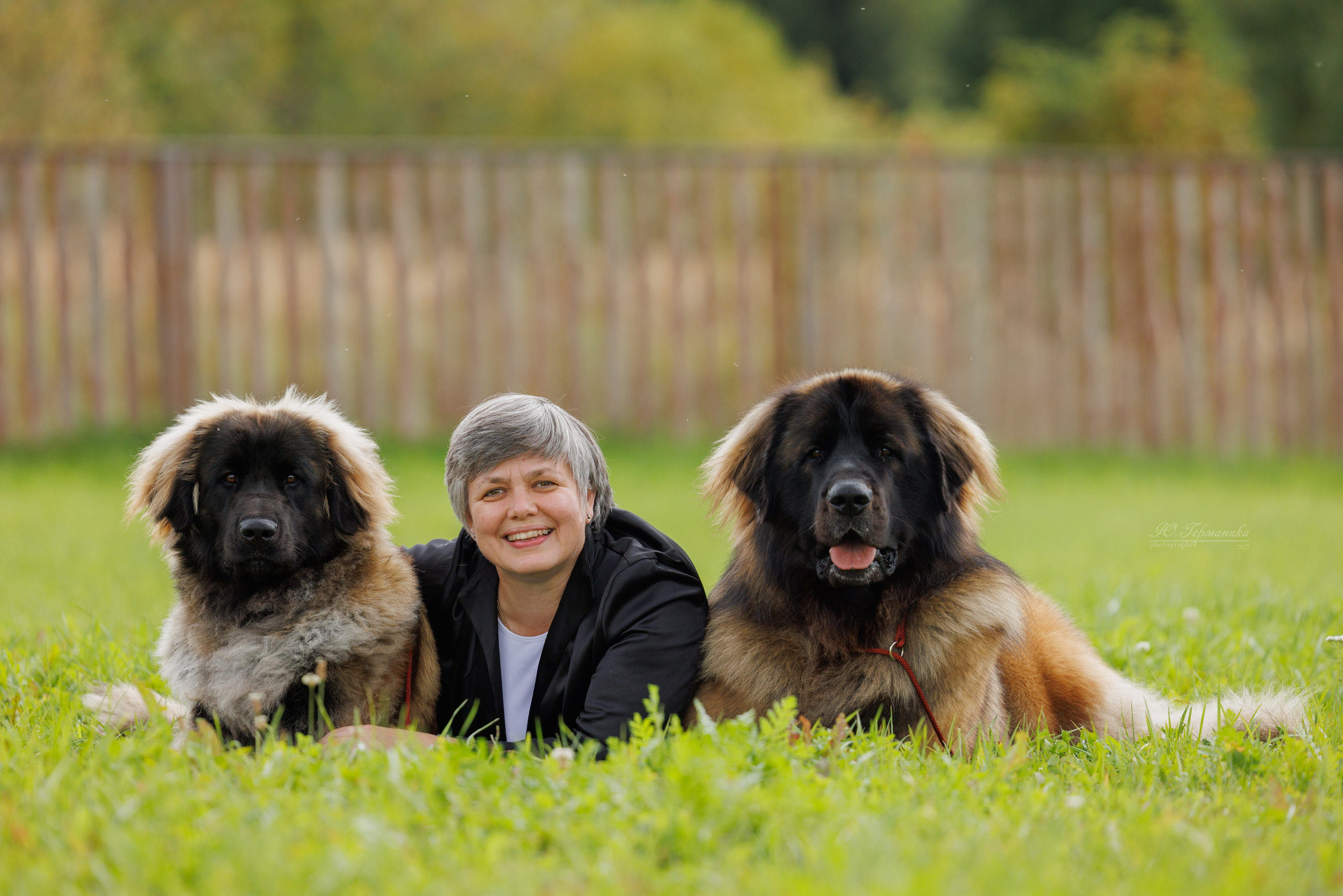 Переславль 5-7.08.2025. Фотограф-анималист Юлия Германика