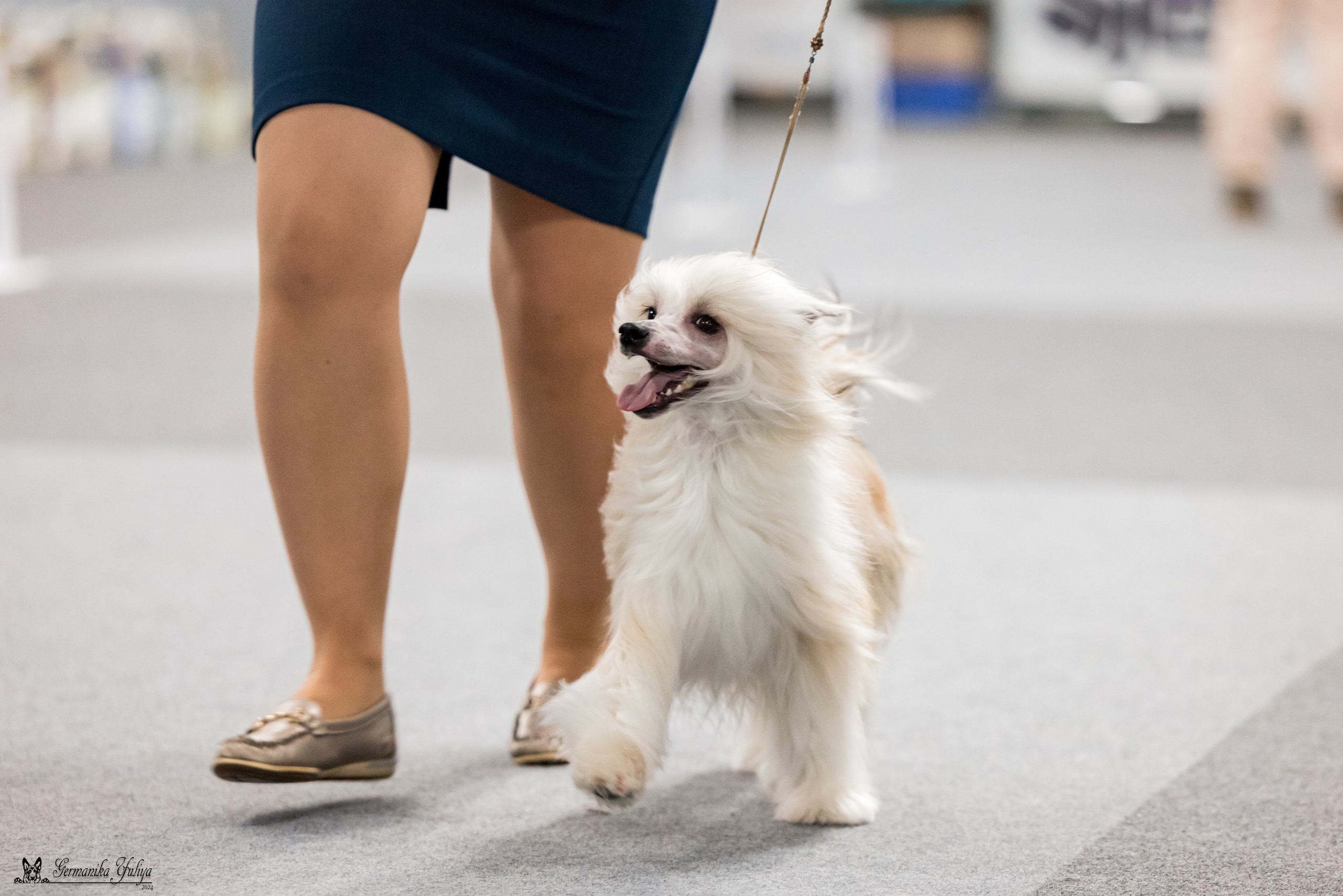 Сфера 28.01. и 4.02.2024. Фотограф-анималист Юлия Германика