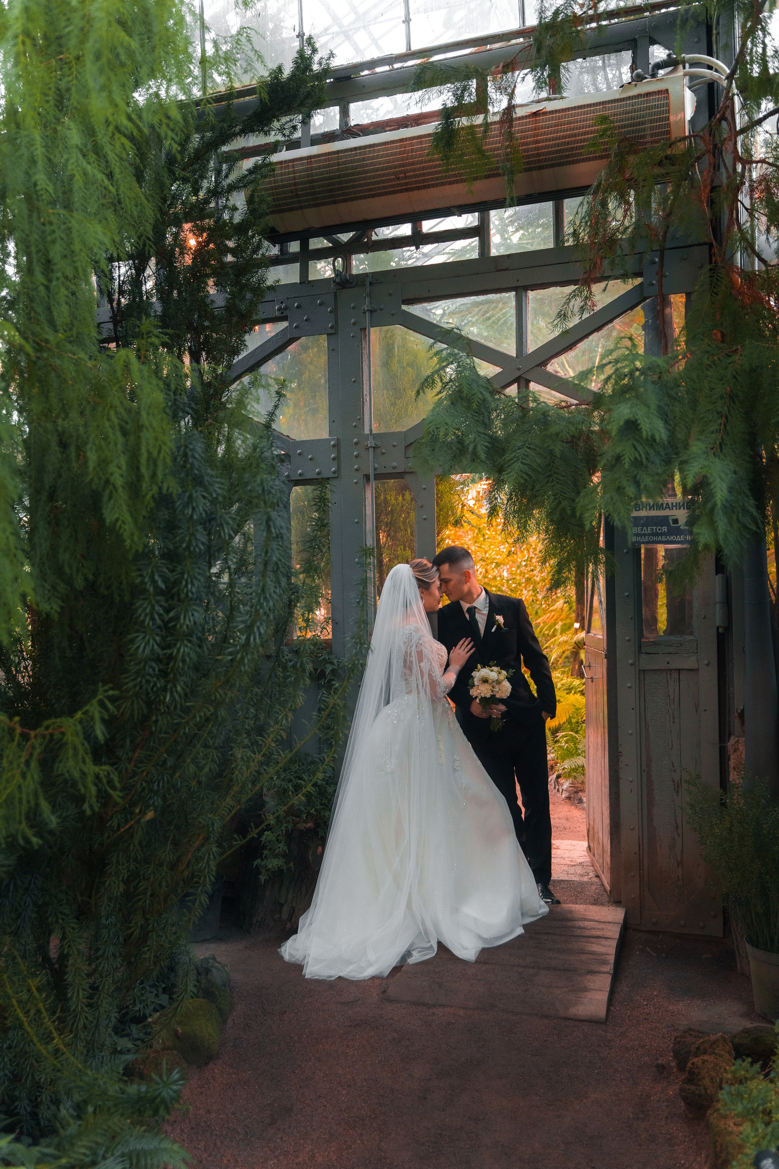 Евгений + Елена