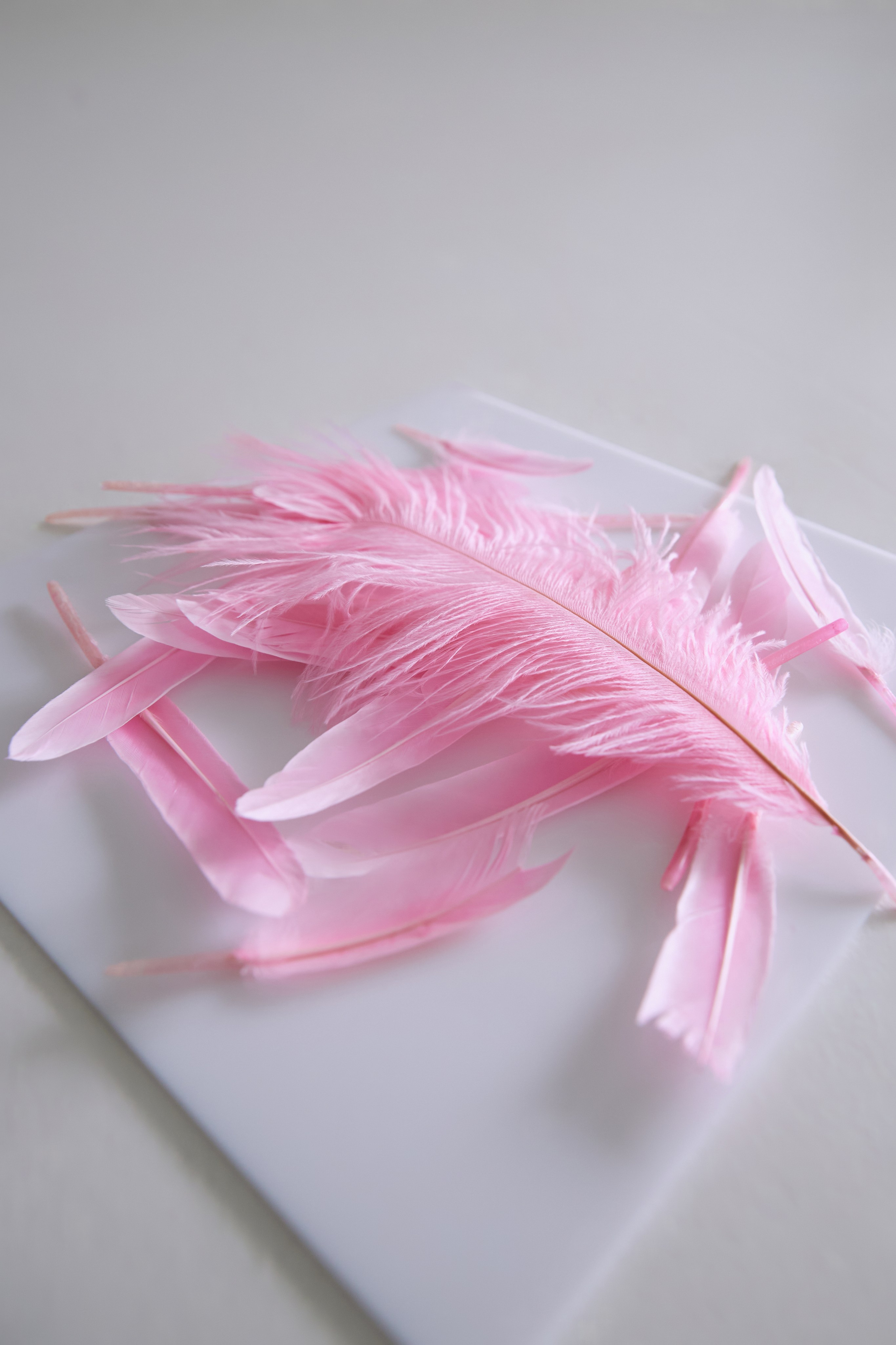 Реквизит для предметной съемки. Content Studio фотостудия