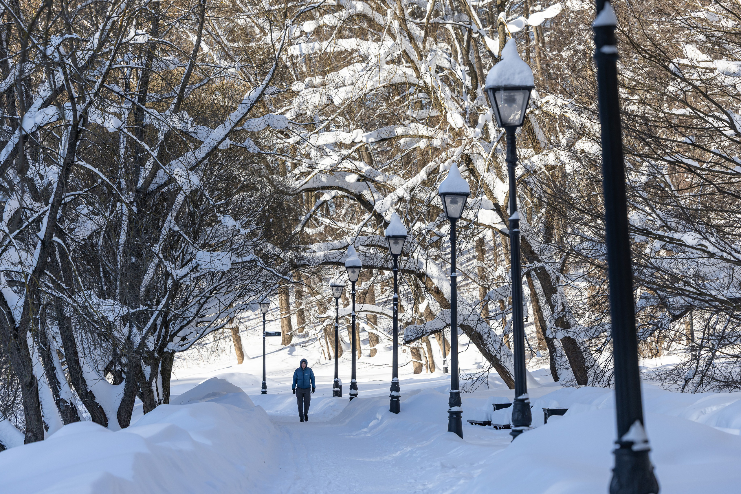 Природа. Фотограф Владимир Охрименко