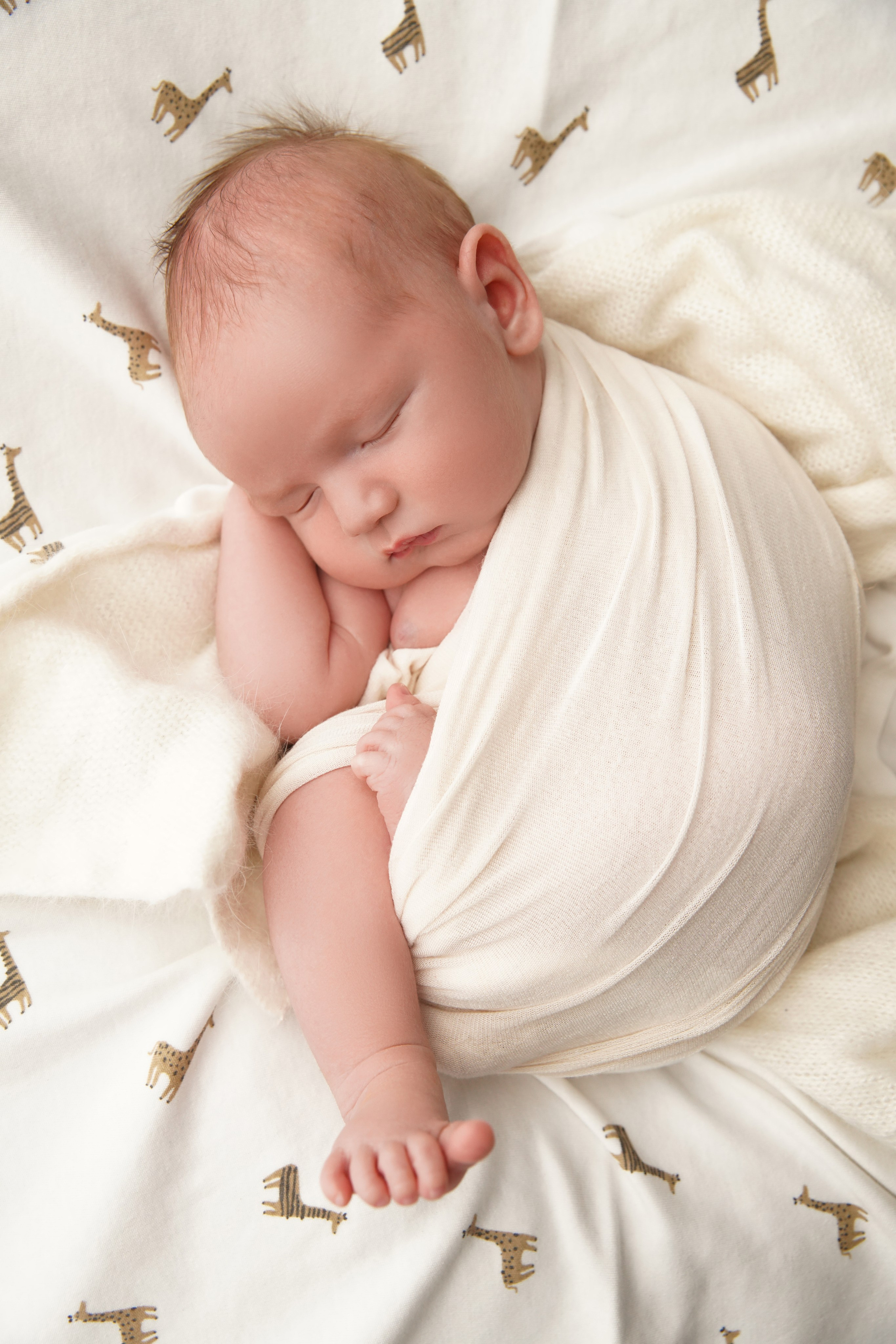 Мальчики. Фотограф новорожденных. Семейный и детский фотограф в городе Сургуте