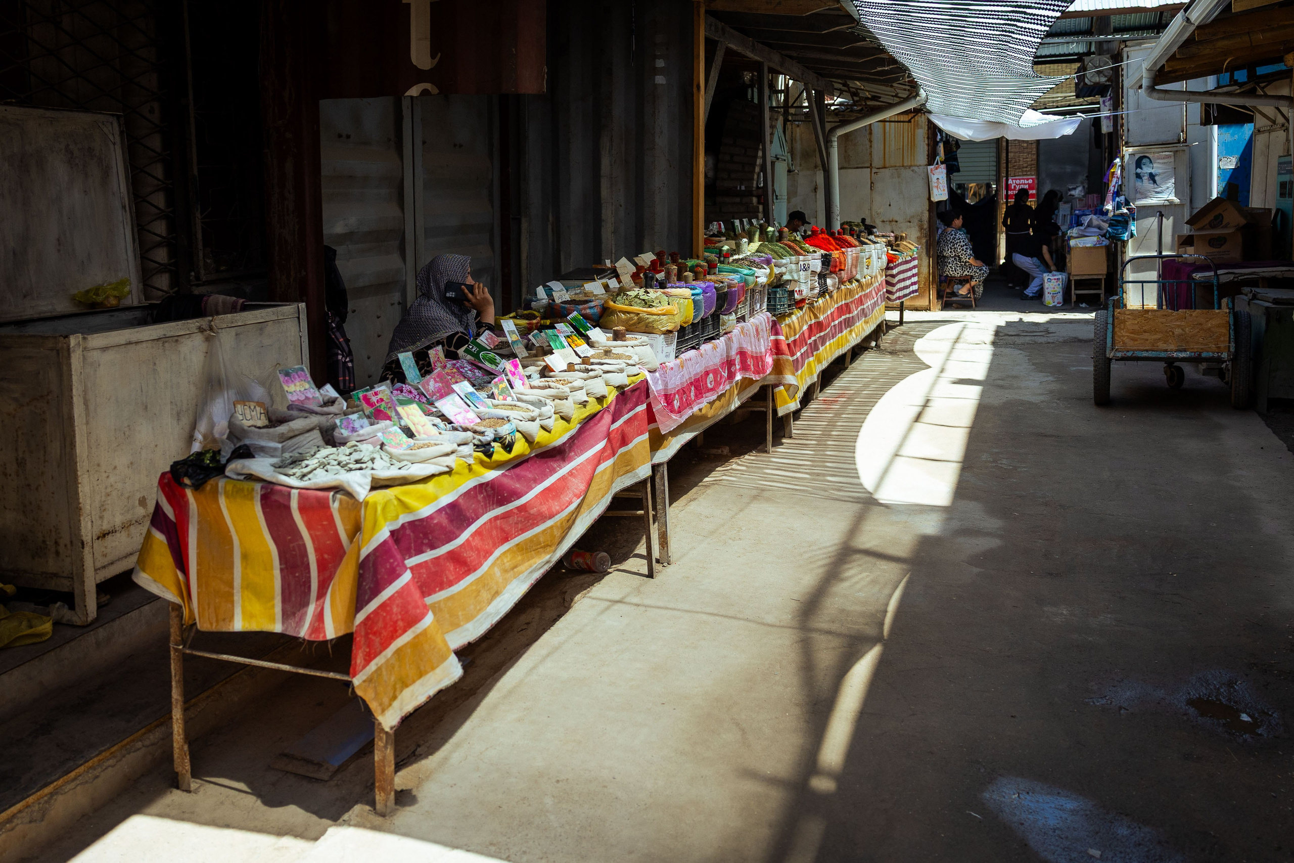 Кыргызстан (весна 2025). Фотограф Виноградов Константин