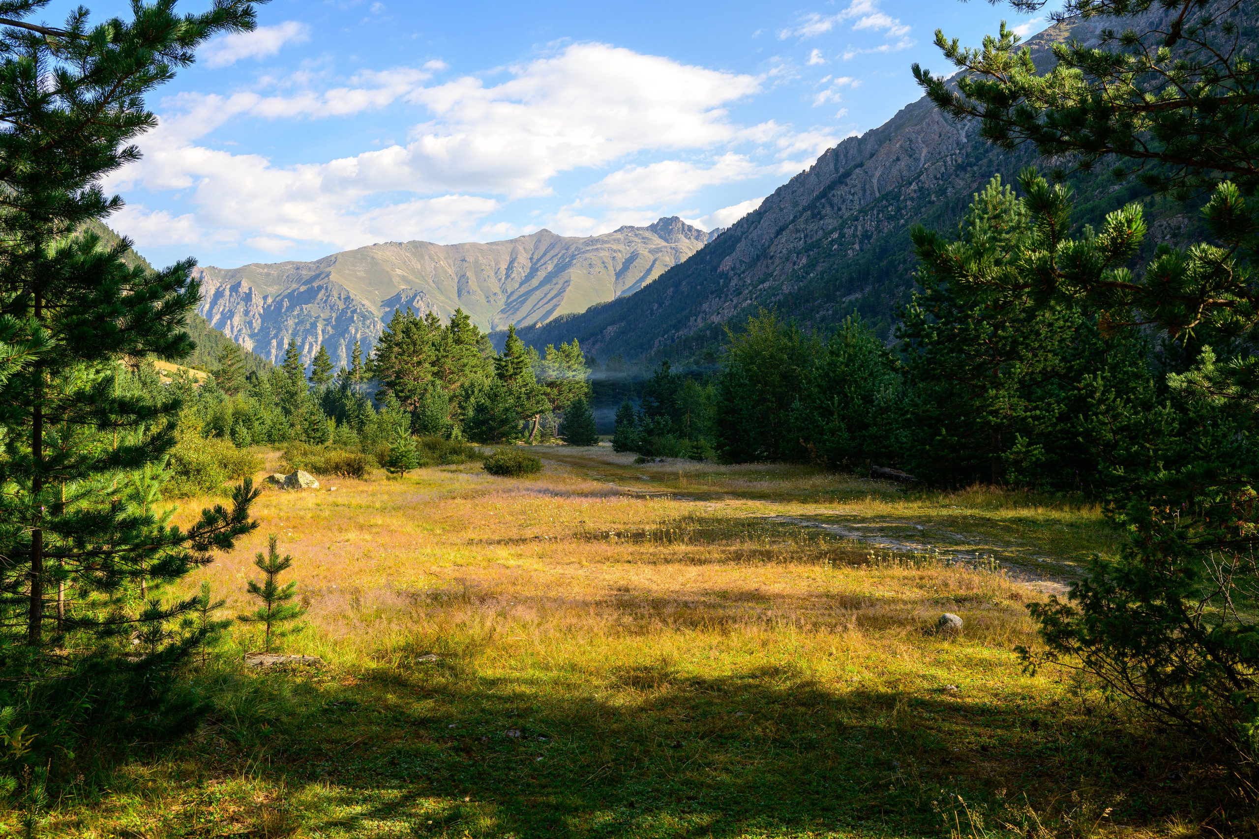 Экспедиция 2025