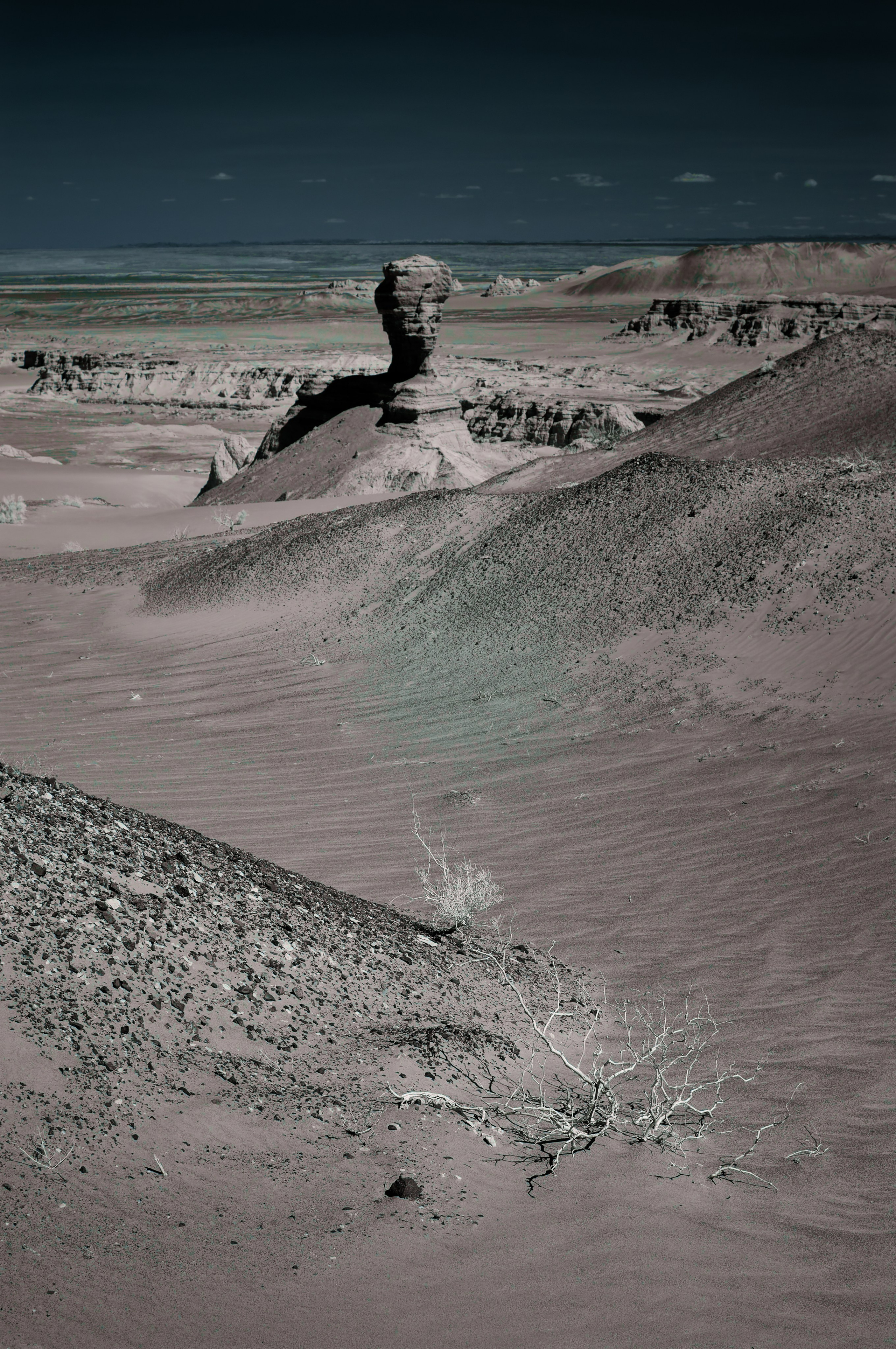 Экспедиция в Монголию (Гоби). Семоха Валерий. Фотограф