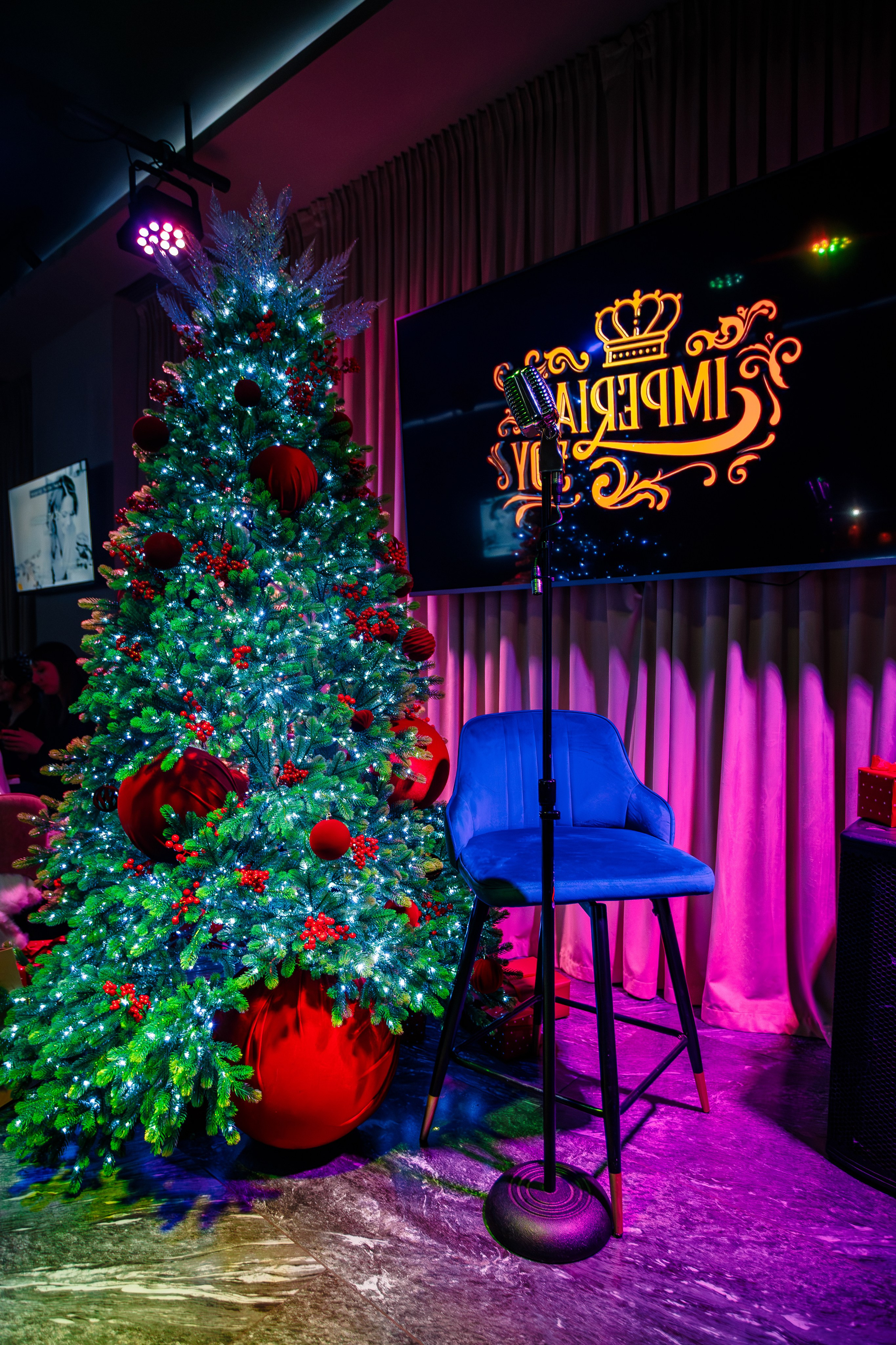 Вечеринка в караоке клубе «IMPERIAL JOY"_Ялта_27.12.2025. Аминов Руслан | Фотограф