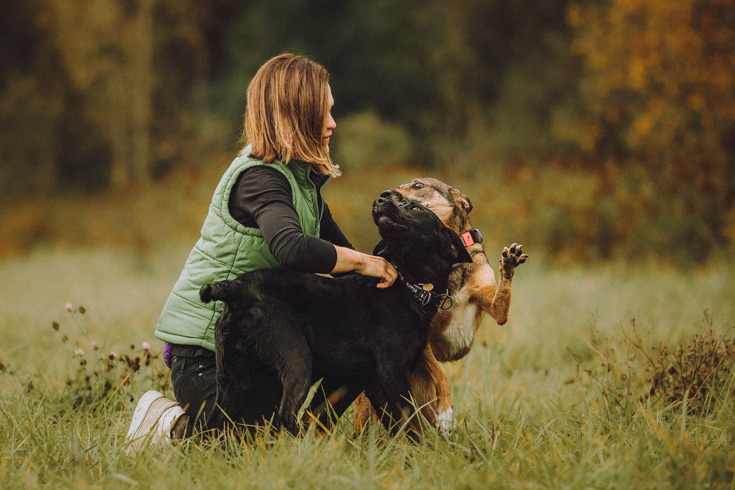 Аня, Нео и Луна