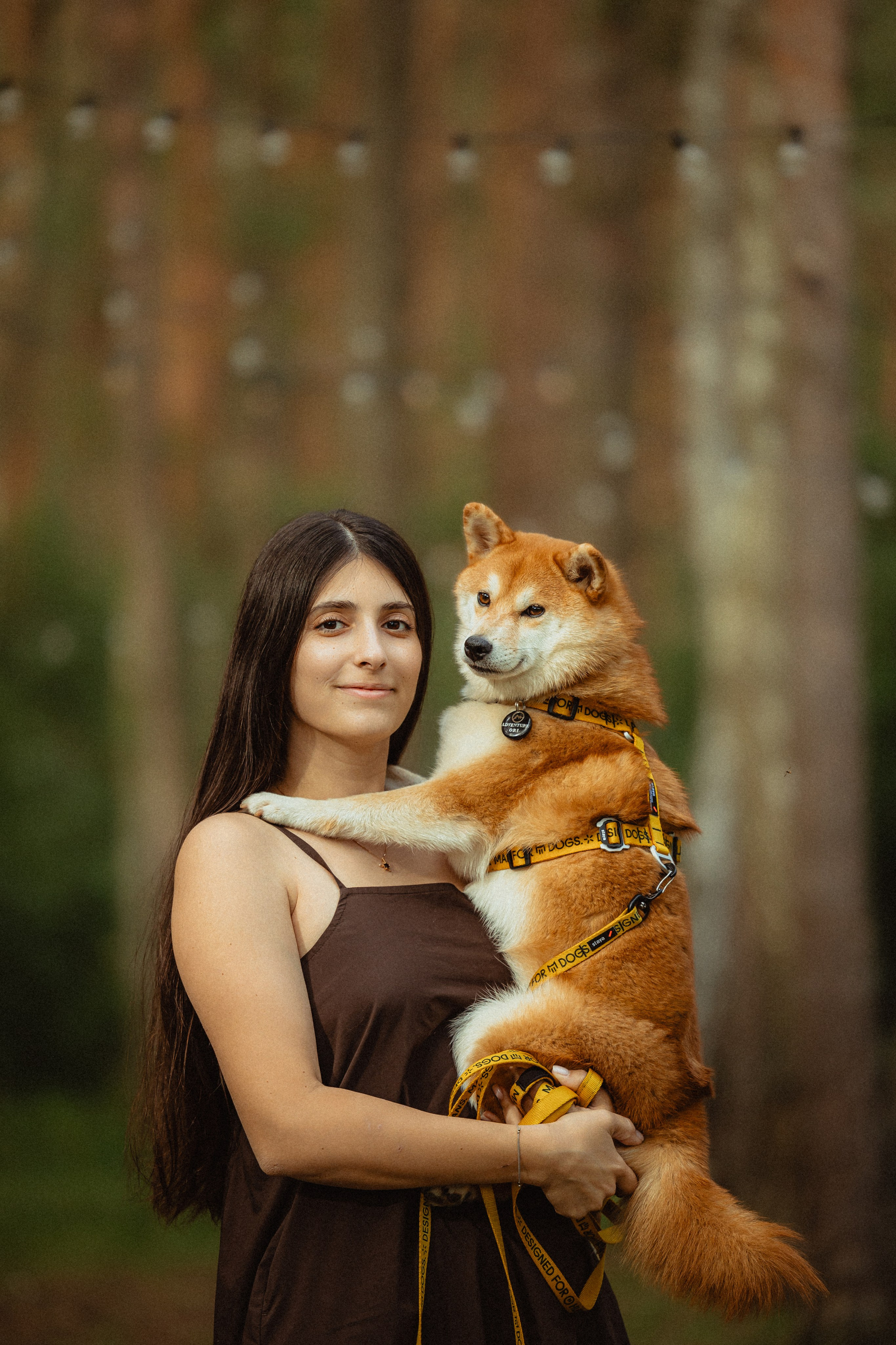 Выездной дог-тренинг от школы «Шерсть имею»