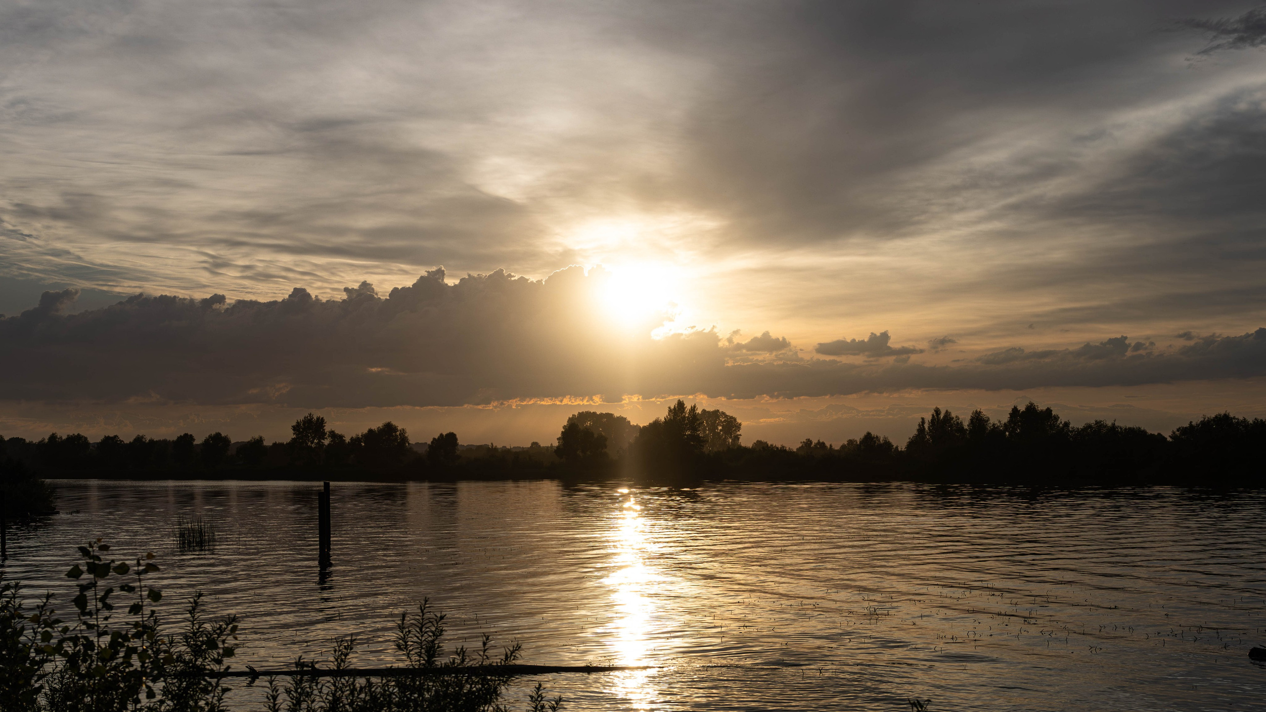 «Лихолесье» 2024. Bertran Ordo