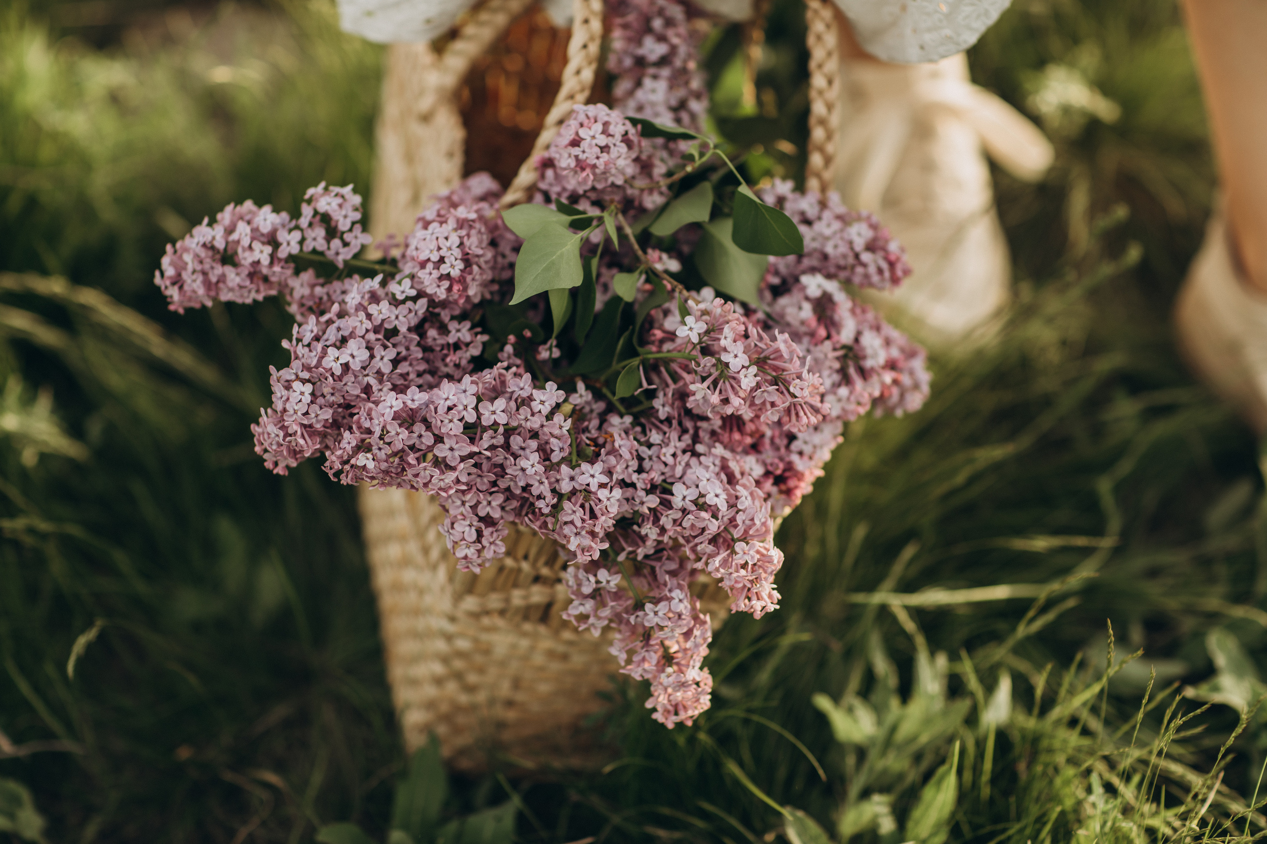 Захар, мама Света, папа Леша. Семейный фотограф Оля Гладченко