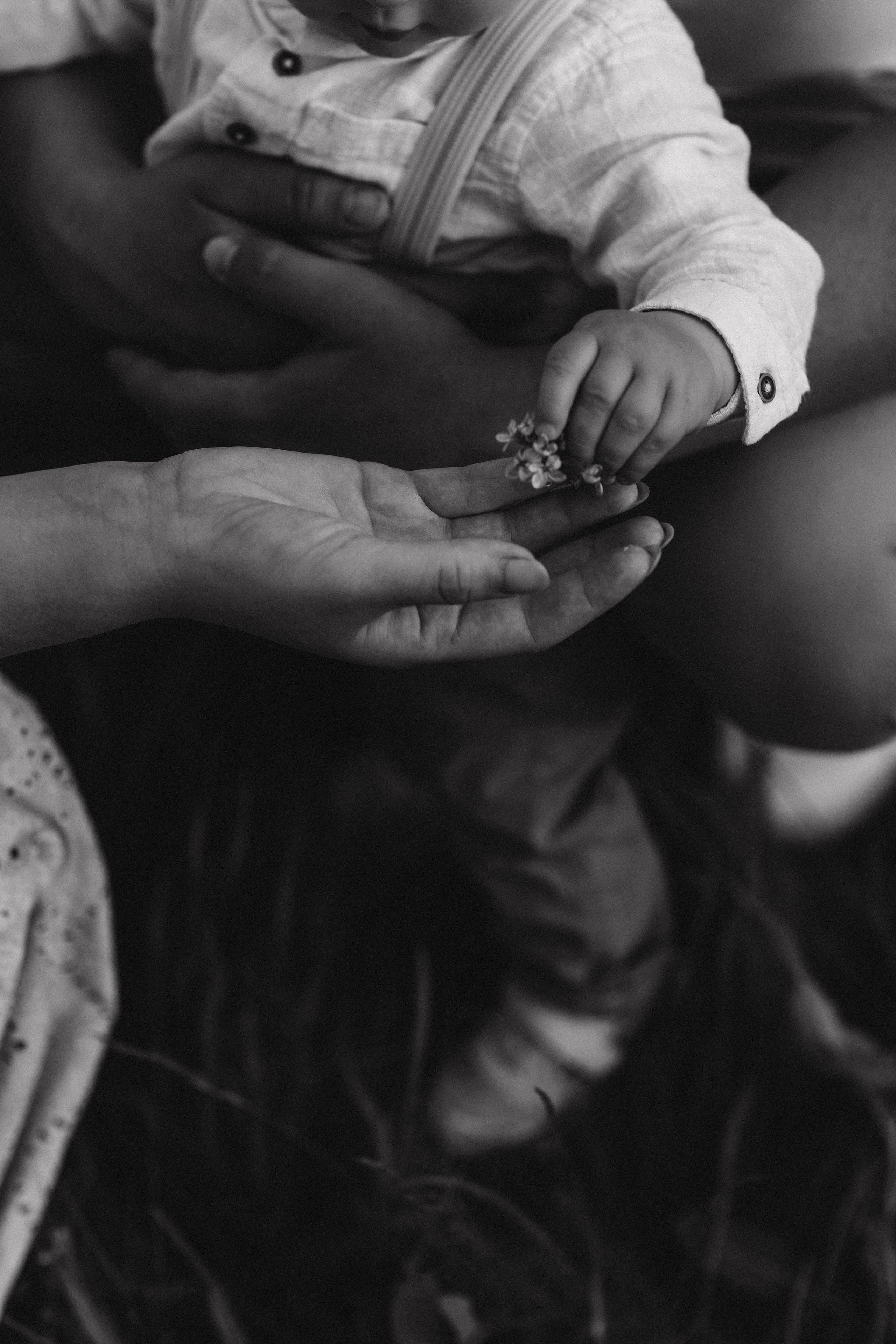 Захар, мама Света, папа Леша. Семейный фотограф Оля Гладченко