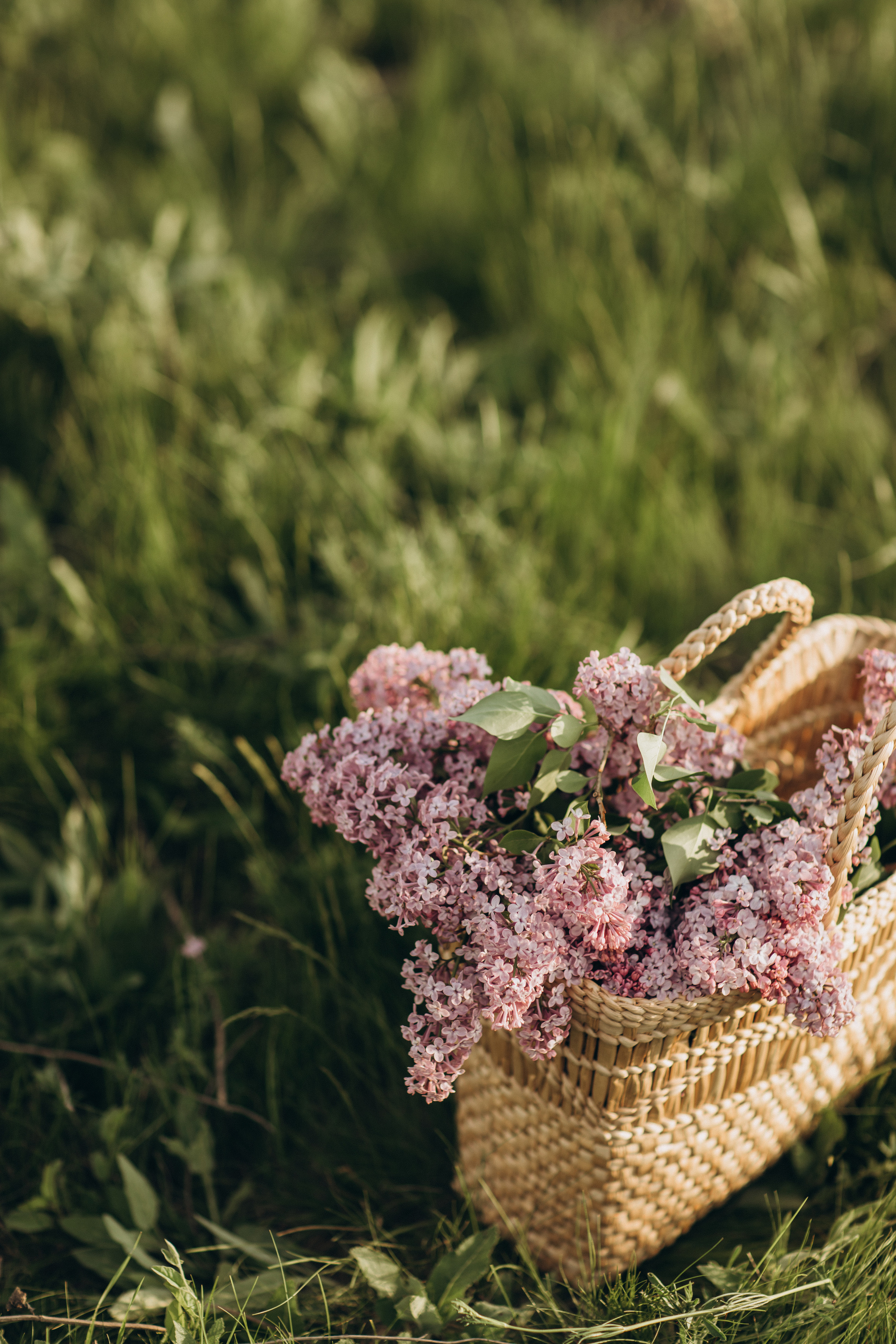 Захар, мама Света, папа Леша. Семейный фотограф Оля Гладченко