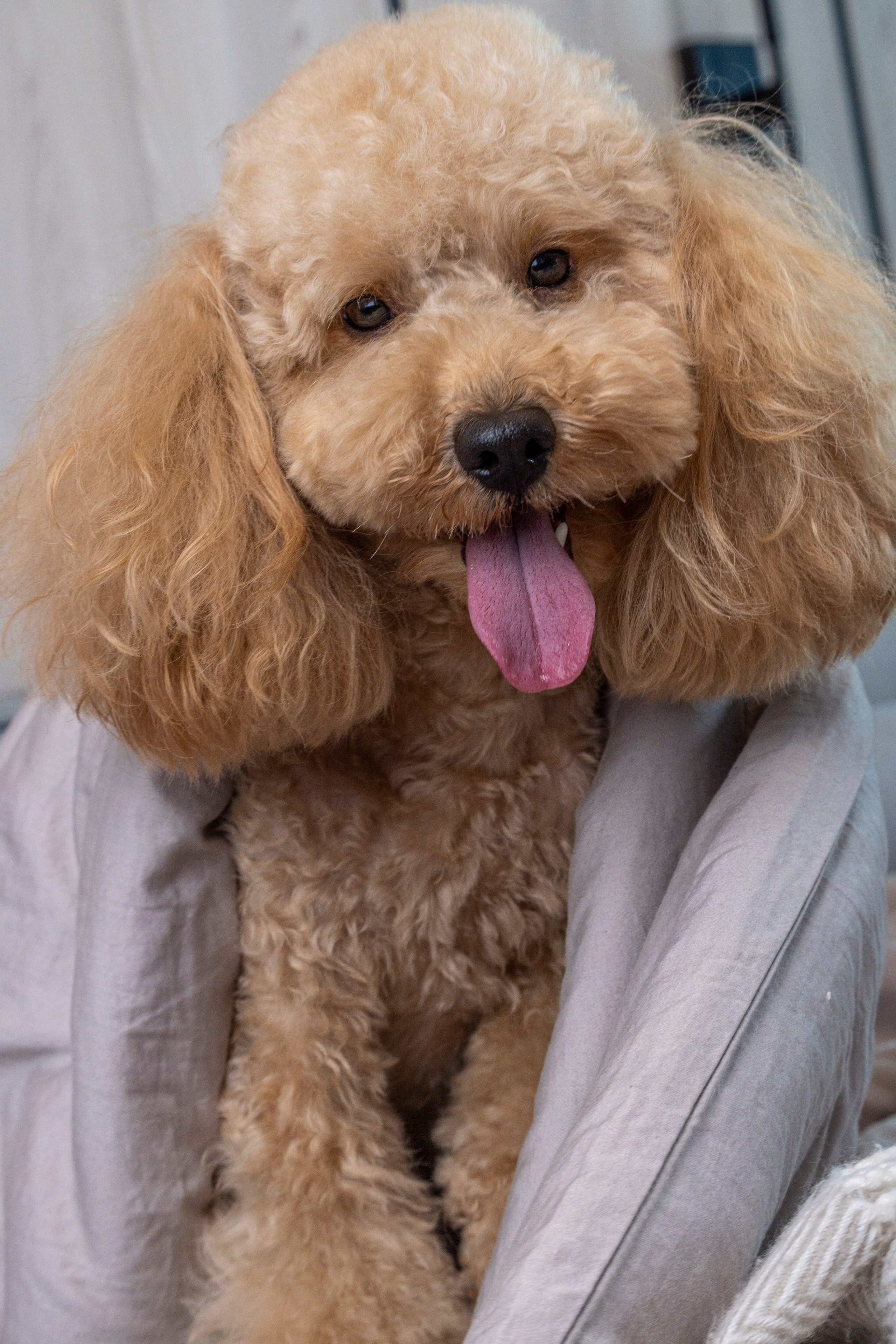 Фотограф анималист в Санкт-Петербурге Таша Крейв