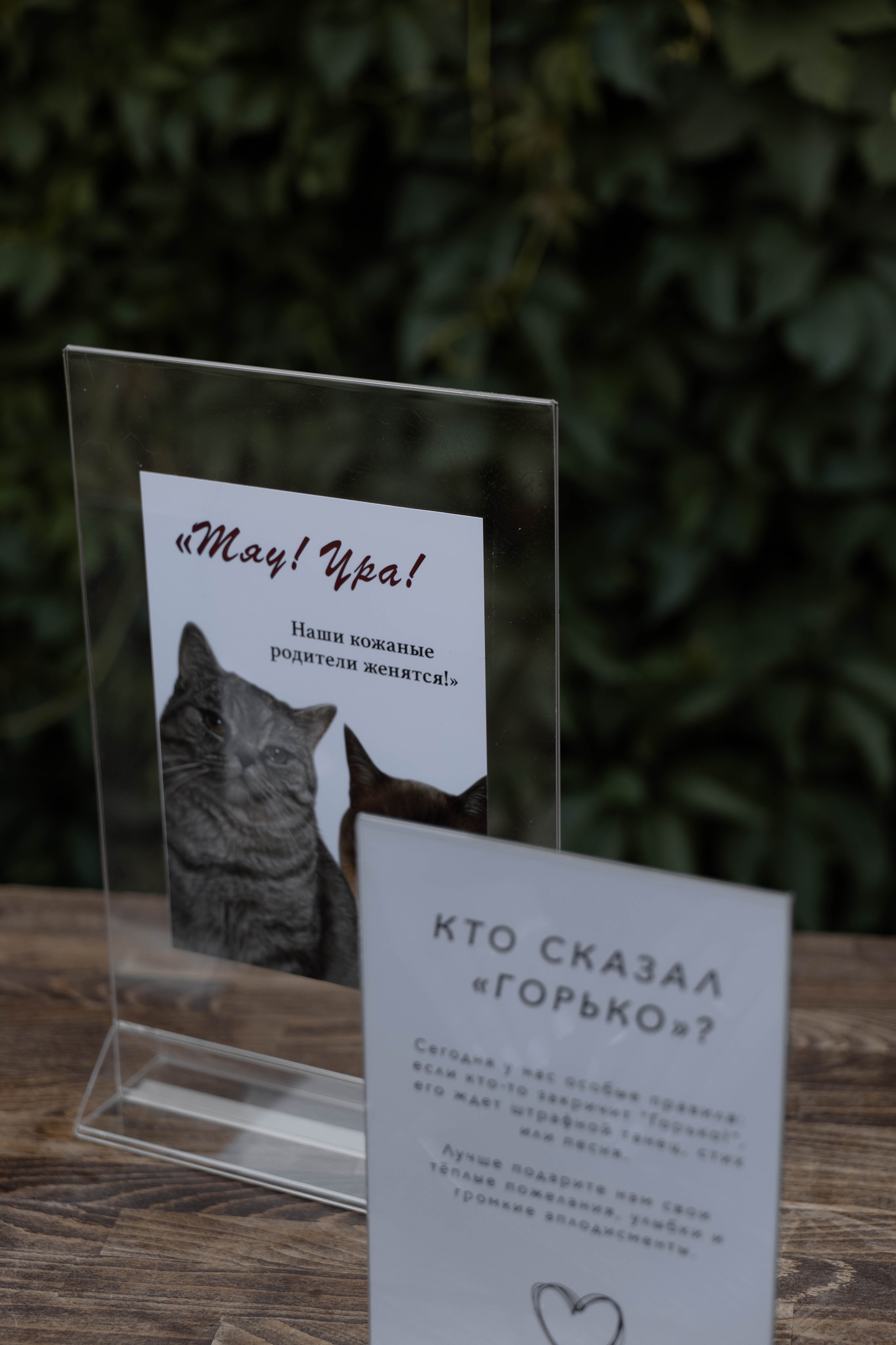 ILSUR | GUZEL. Главная