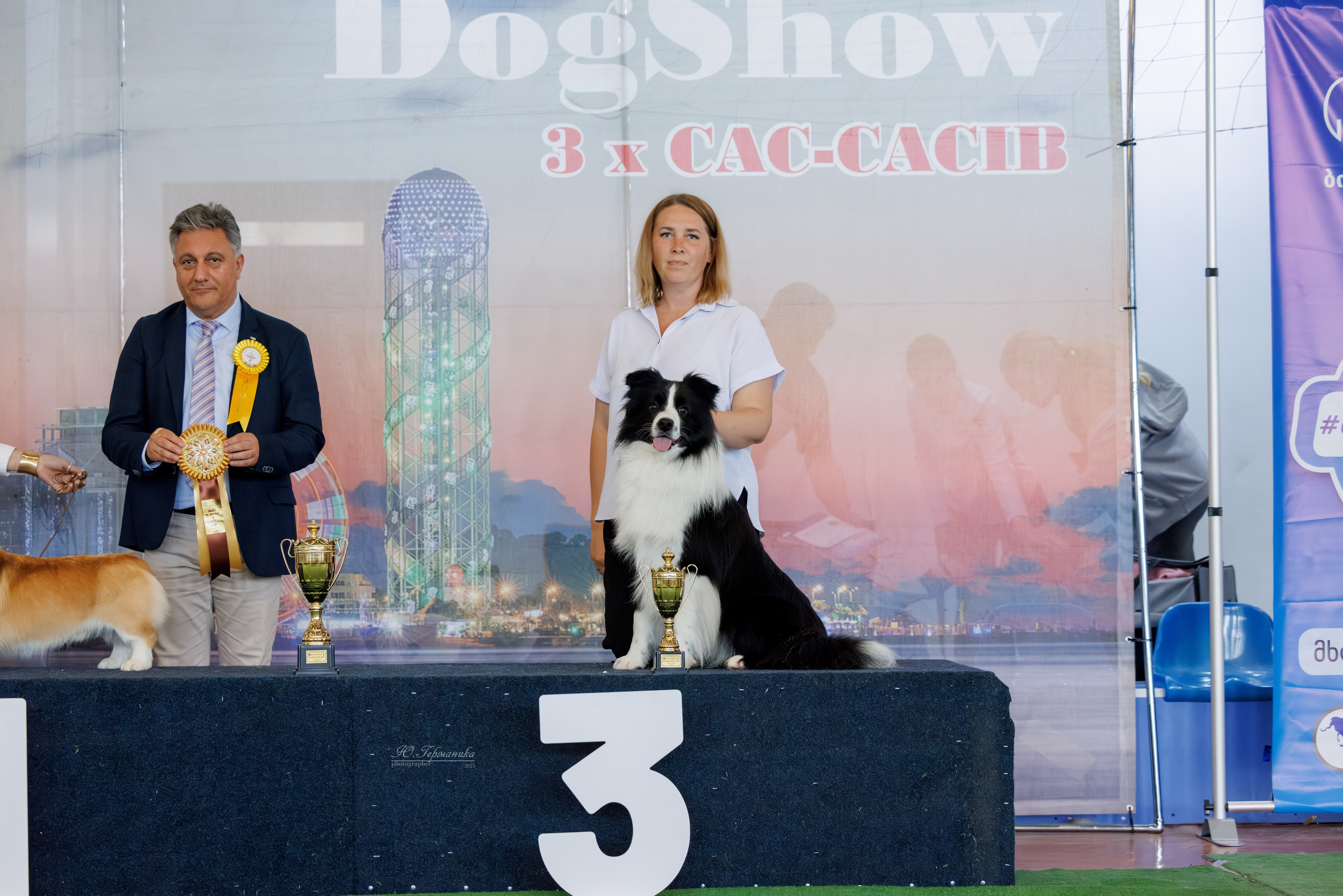 Батуми 3хCACIB 27-29.06.2025. Фотограф-анималист Юлия Германика