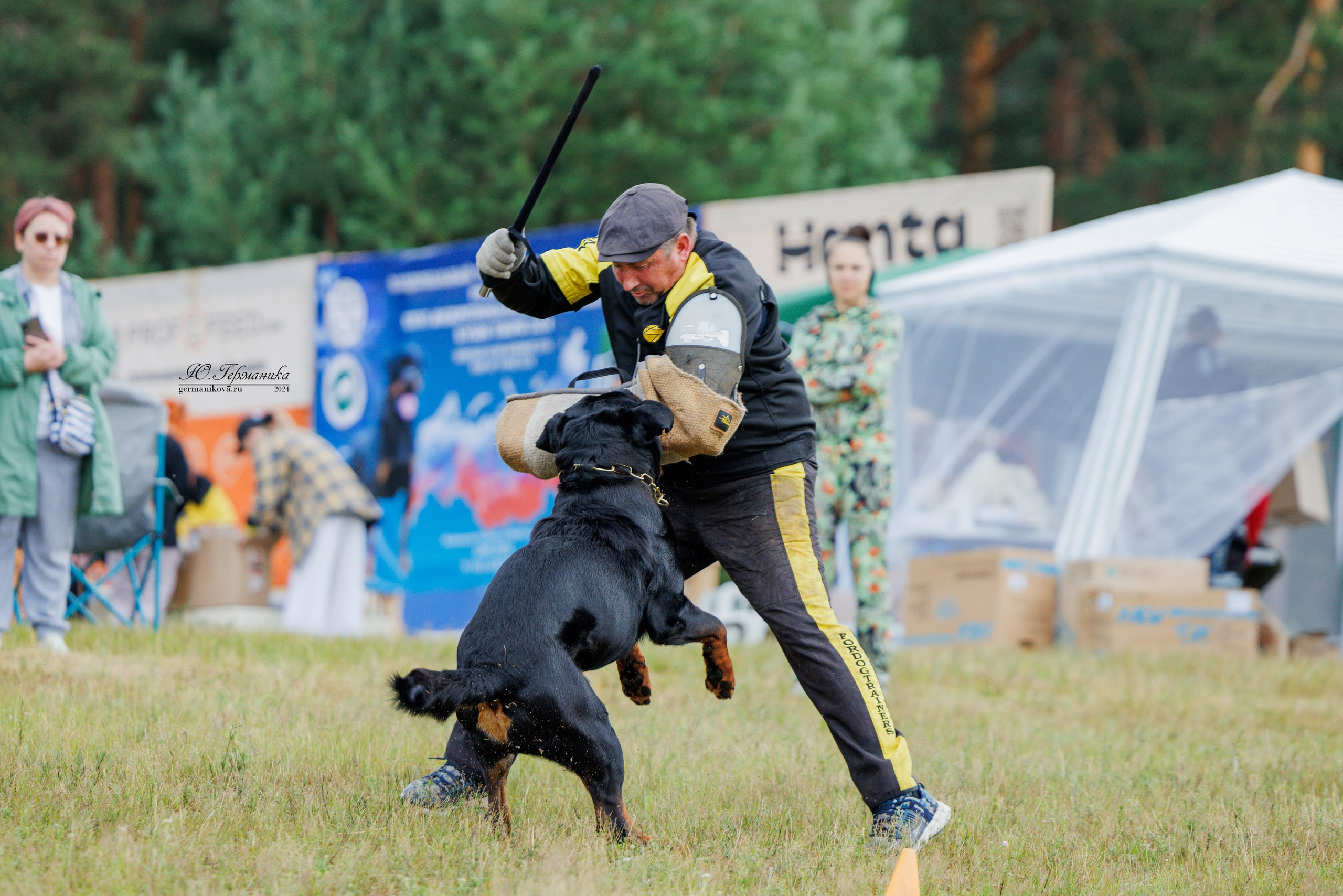 ПК и КЧК ротвейлеры Тверь 6-7.07.2024. Фотограф-анималист Юлия Германика