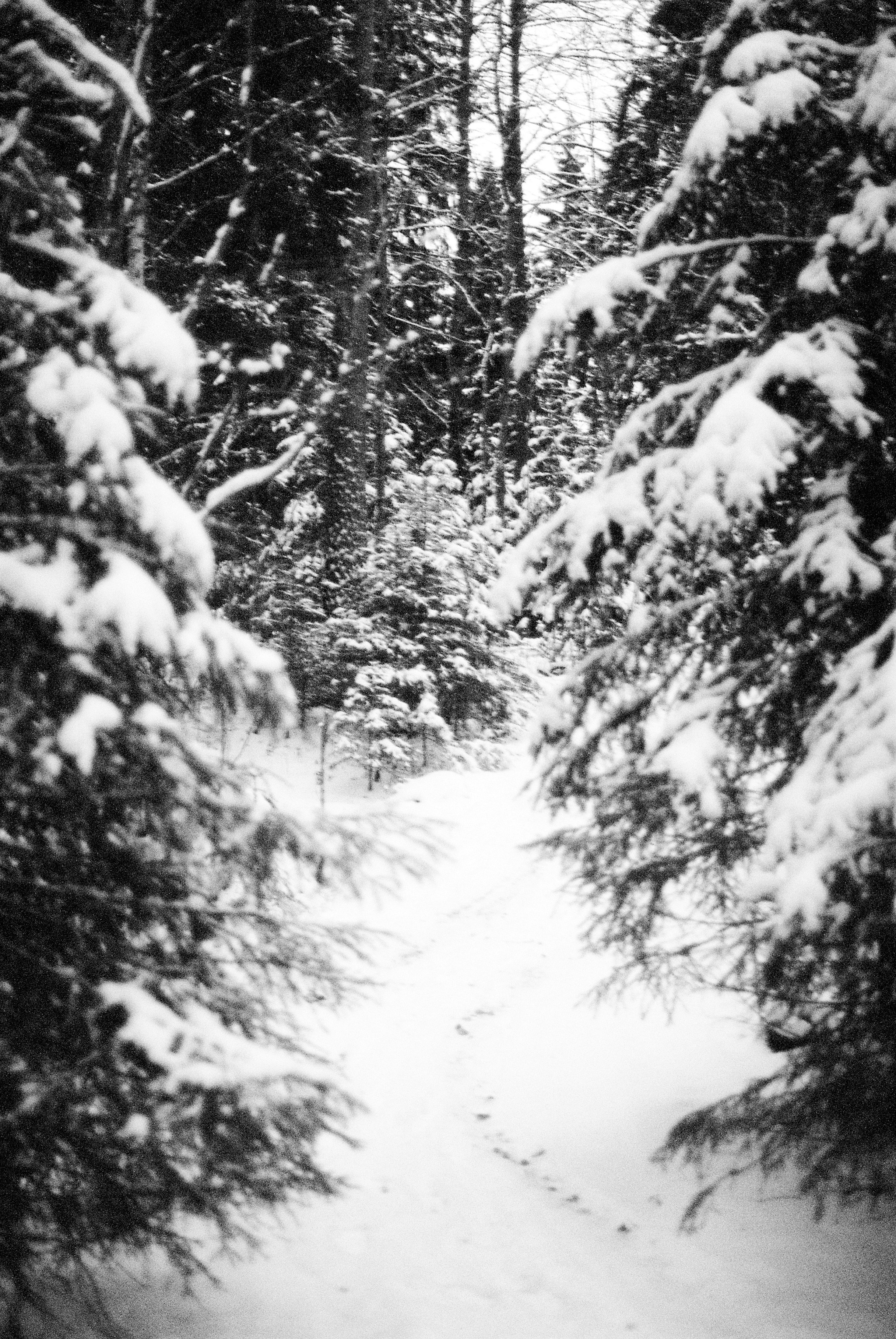 Film. Ruslan UI Dev Page