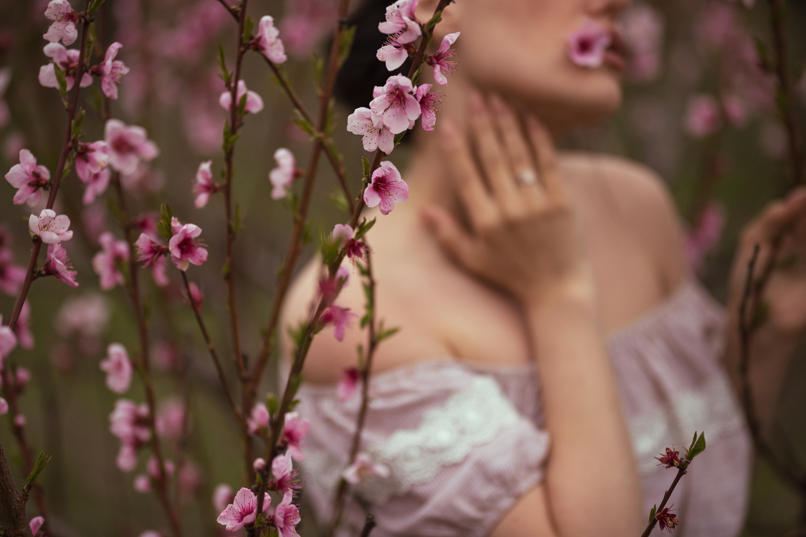 Фотограф Ольга Бритикова Тула