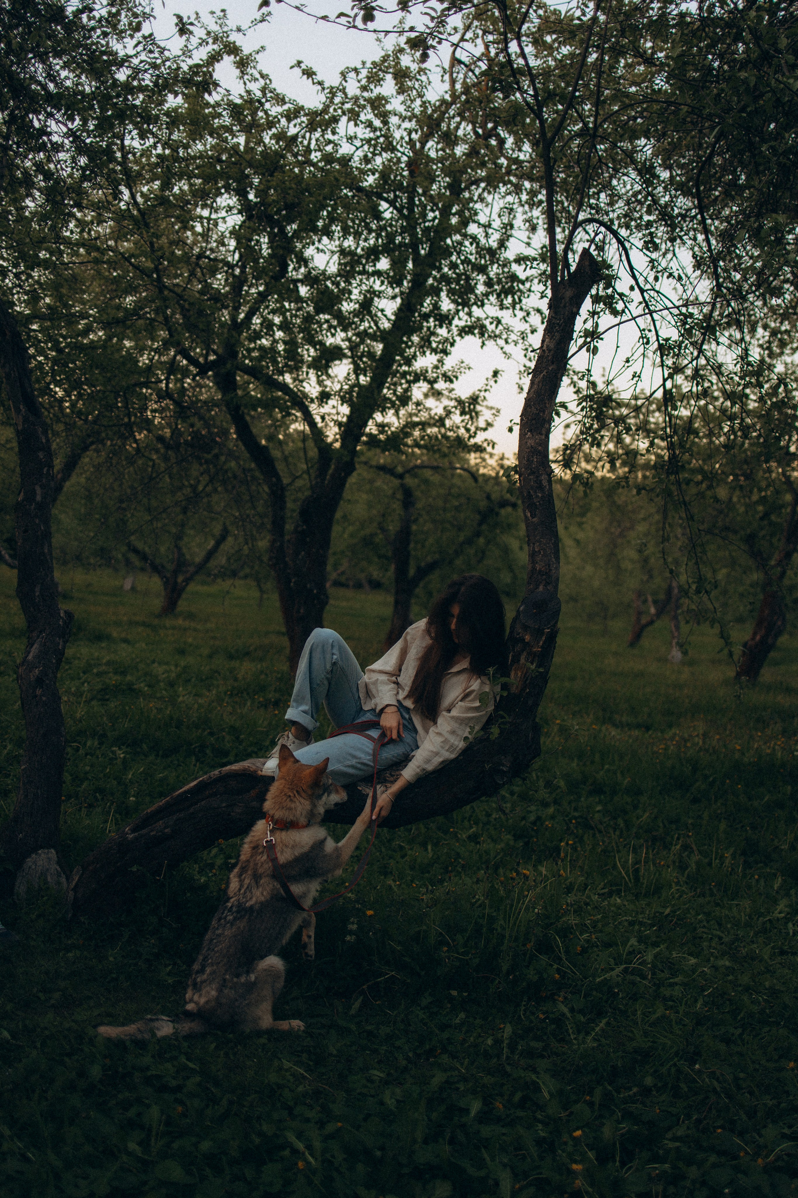 Аня и ее семья. Фотораф — анималист Мария Шистка